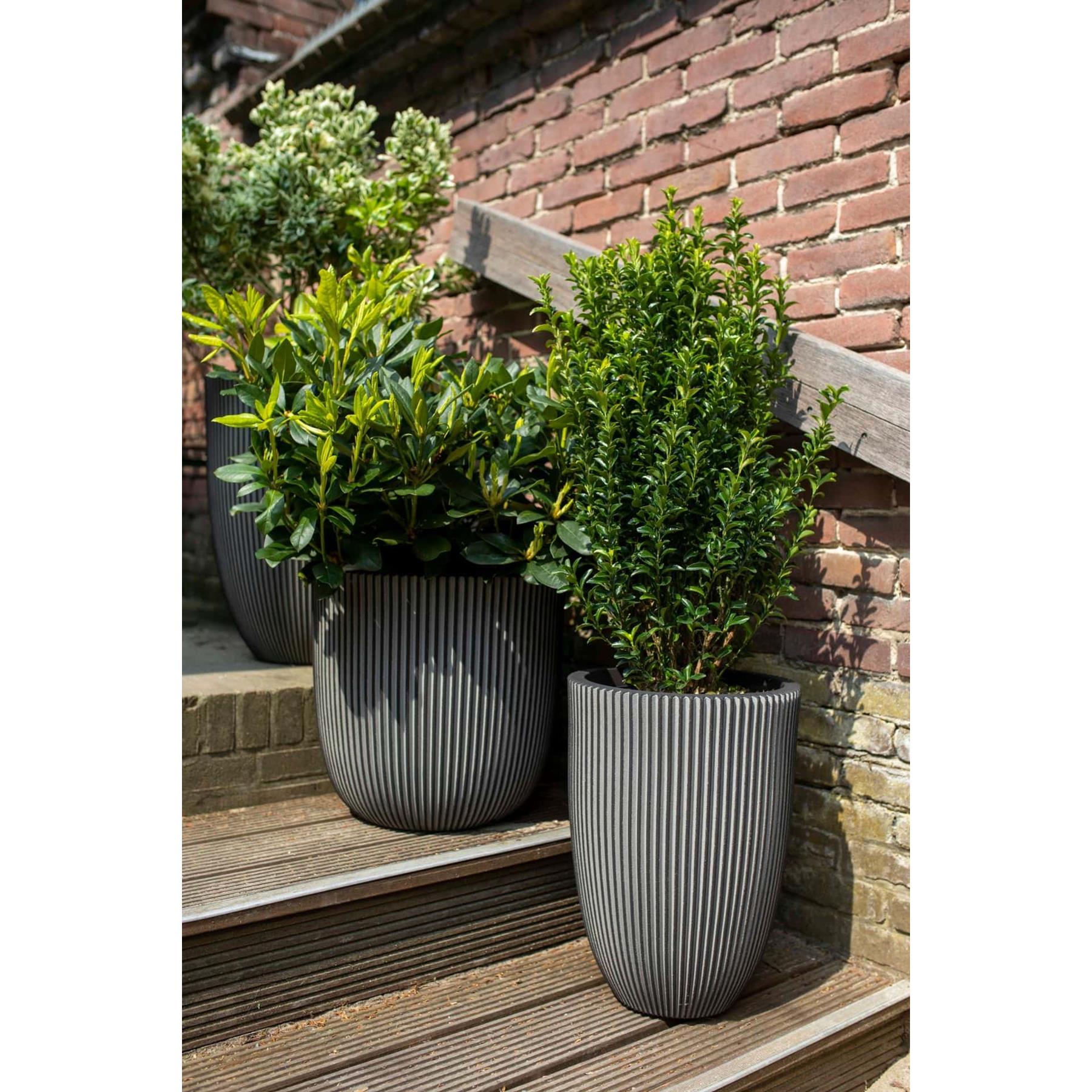 Capi Europe Vaas elegant laag Groove NL - 34x46 - Antraciet