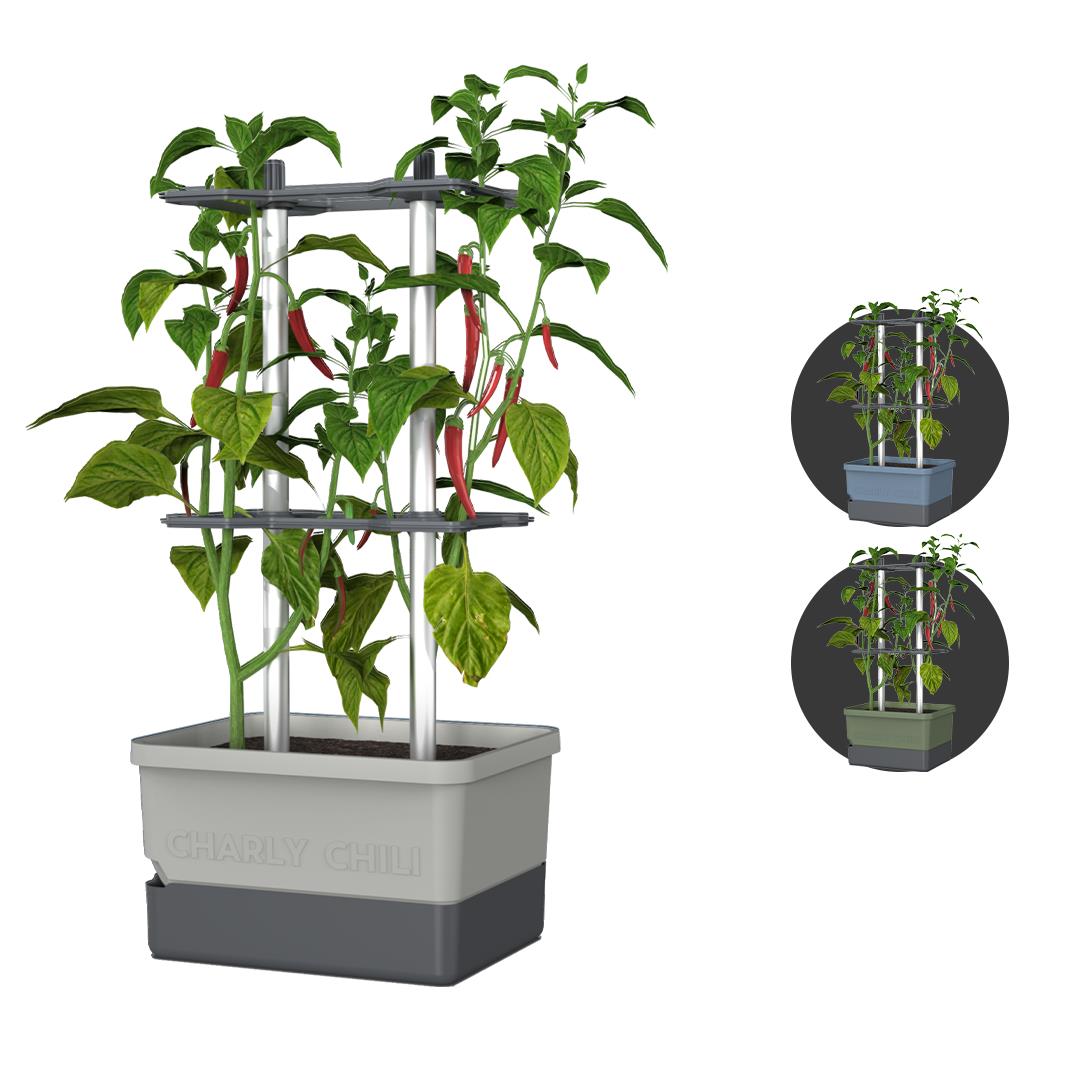Gusta Garden - Charly Chili - Chiliplanter met watertank