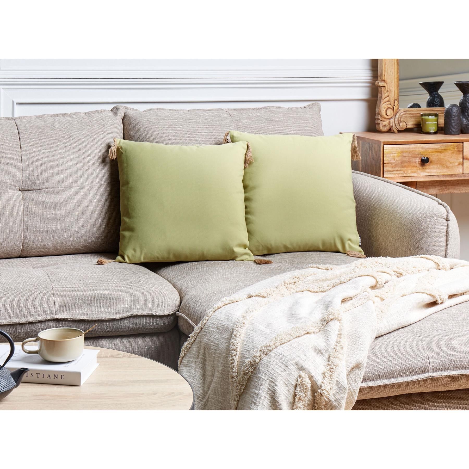 Beliani-CHMISTAR-Sierkussen set van 2-Groen-45 x 45 cm-Polyester