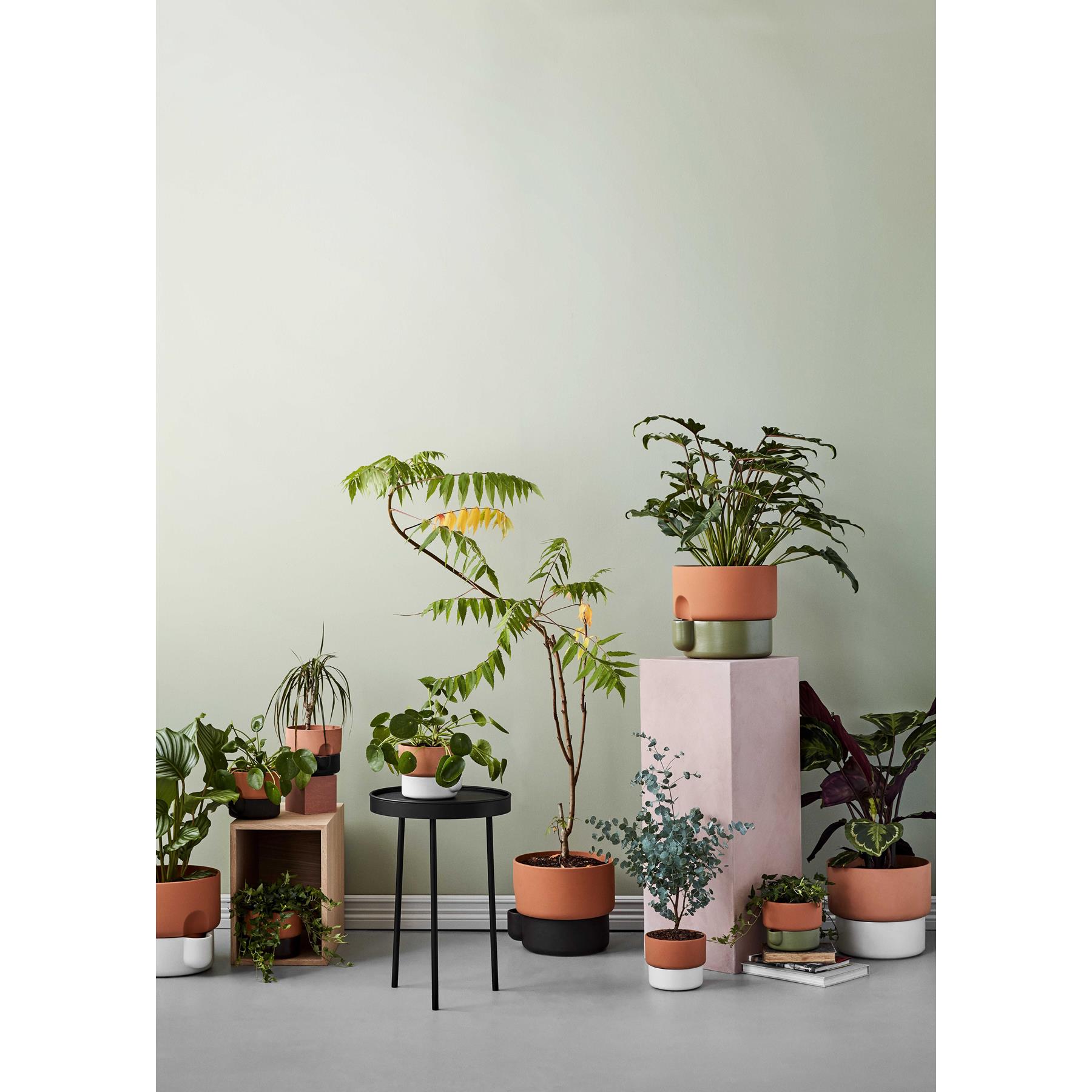 Northern Oasis plantenbak large Ø27.5 groen|terracotta