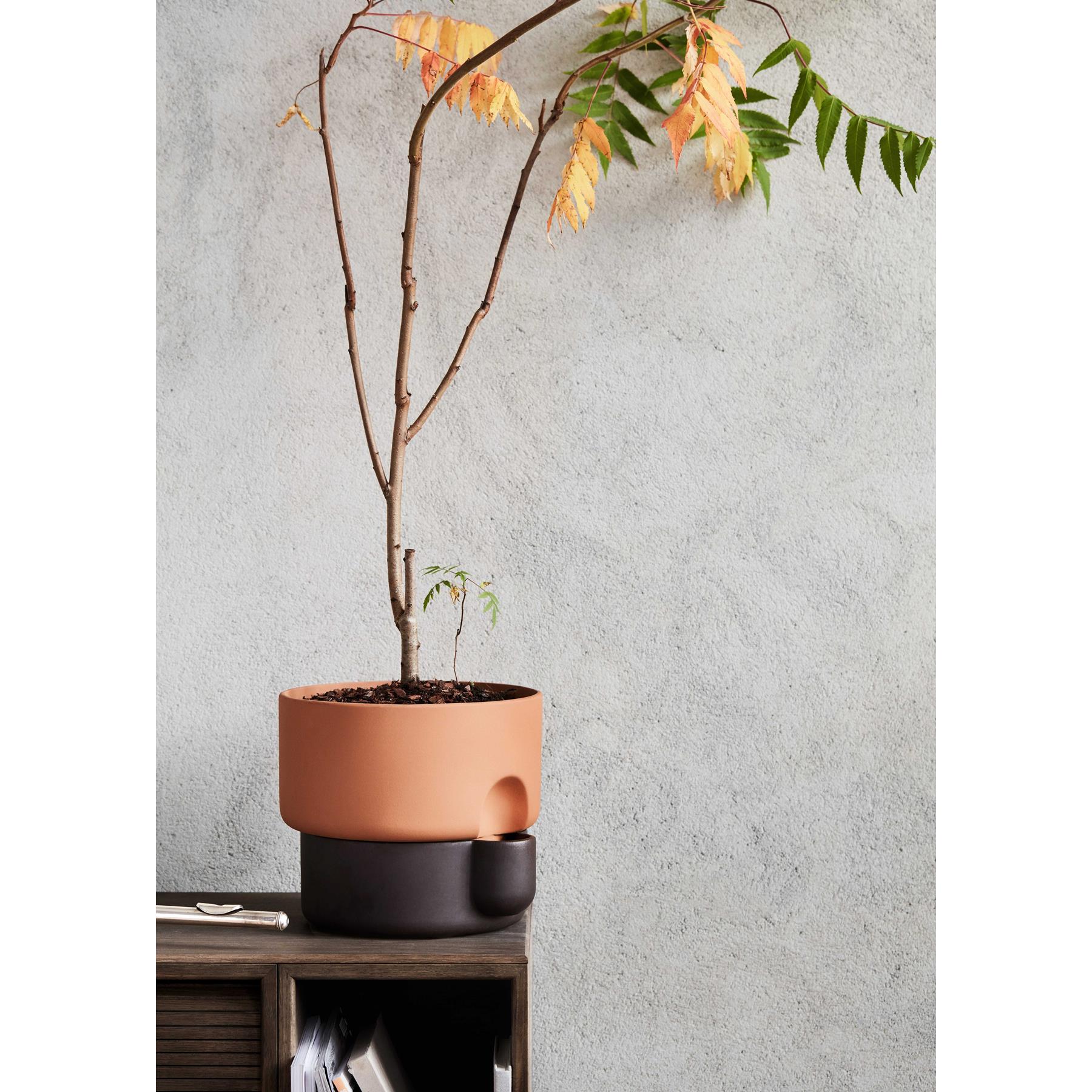 Northern Oasis plantenbak large Ø27.5 groen|terracotta