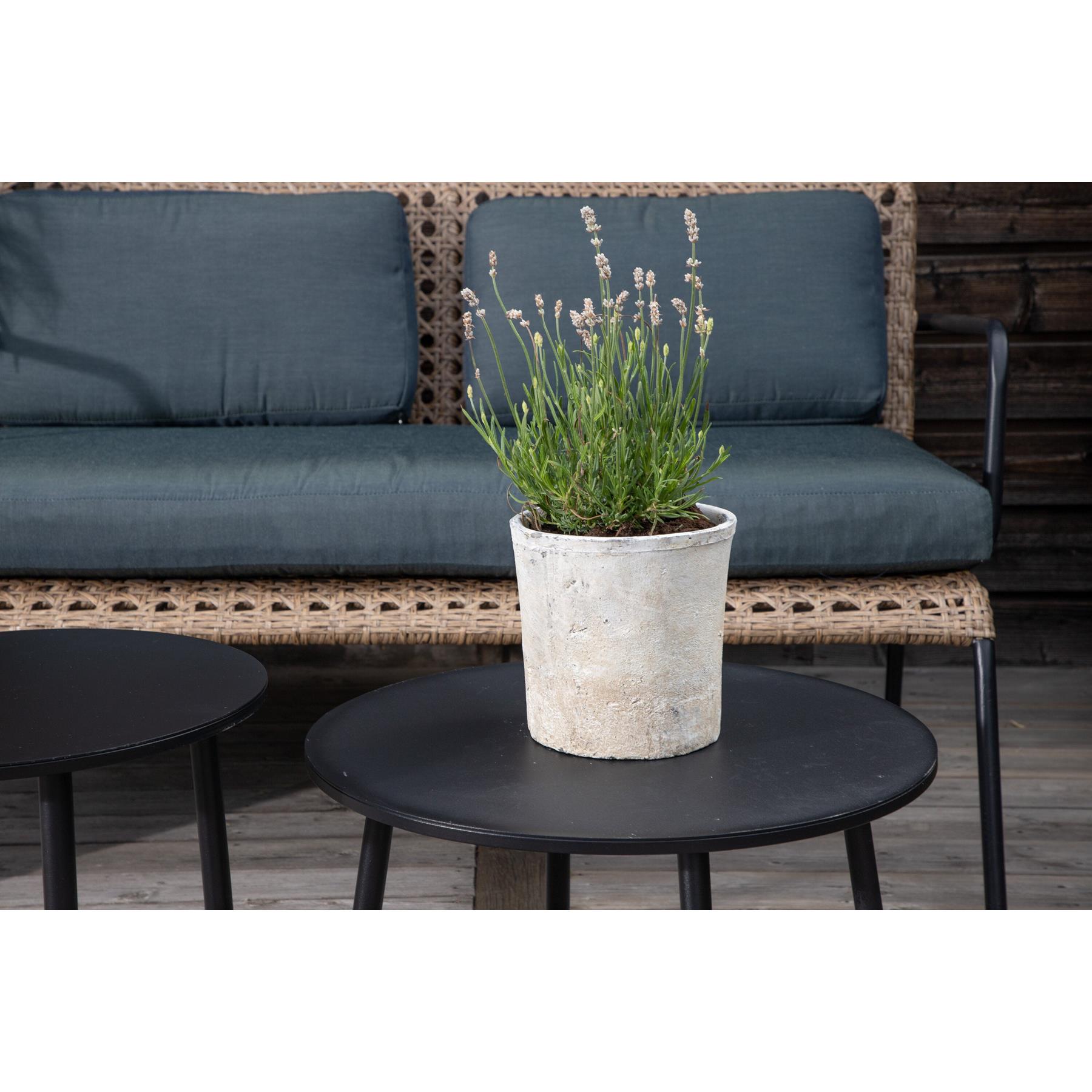Rebellenclub Clove Loungeset - Naturel Rattan