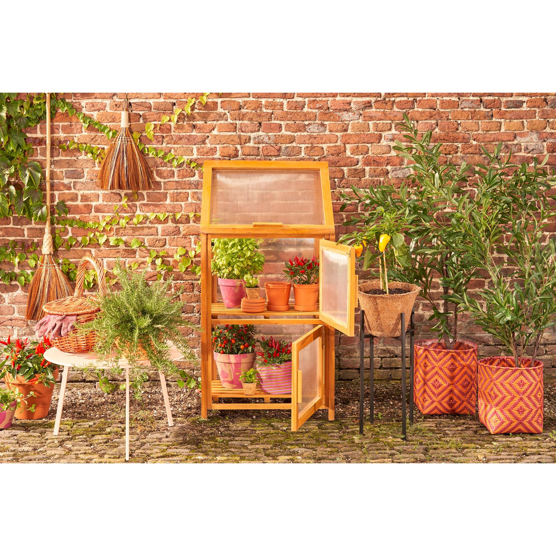 Mica Decorations Caminia Kweekkas M - L60 x B42 x H115 cm- Mahoniehout