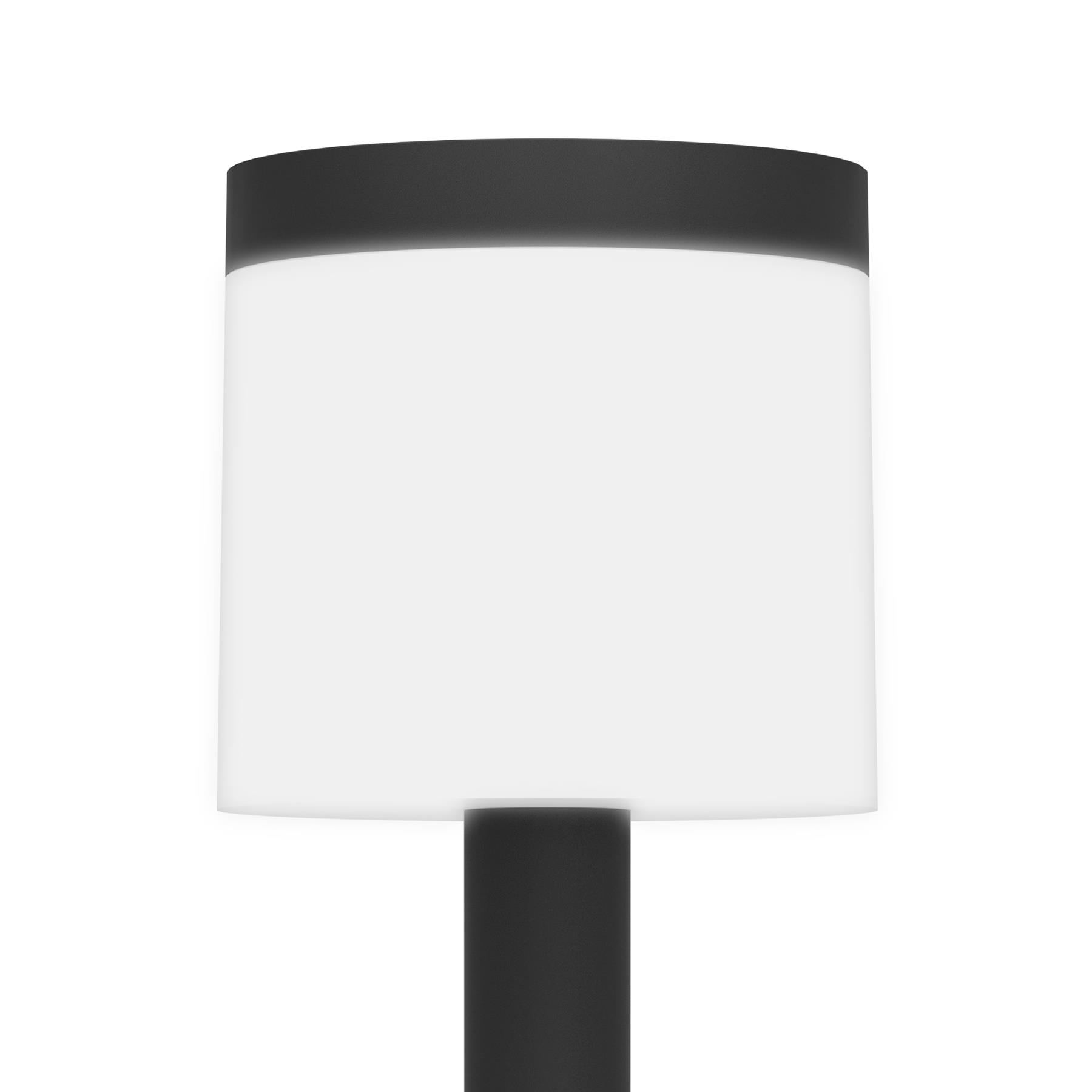 EGLO Pantete Solar Priklamp Buiten - LED - 65 cm - Zwart|Wit