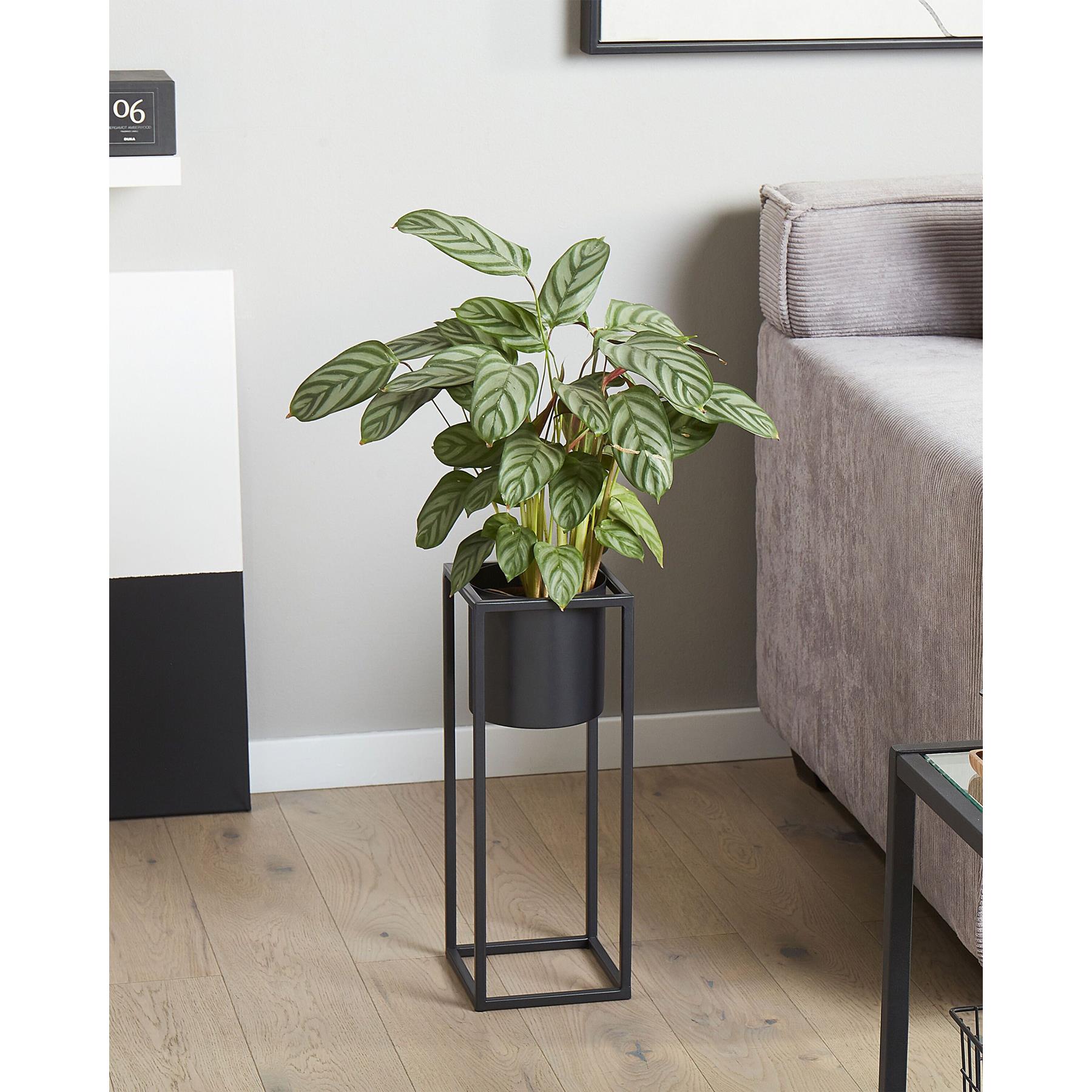 Beliani - IDRA - Plantenbak - Zwart - 15 cm - IJzer