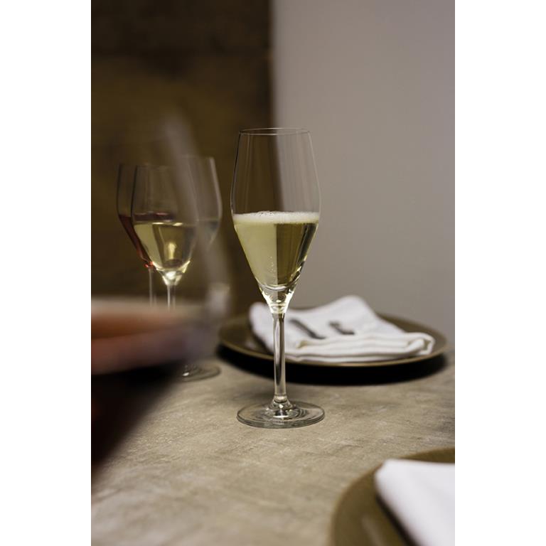 Schott Zwiesel Audience Champagneglas met MP 77 - 0.25 Ltr - set van 6