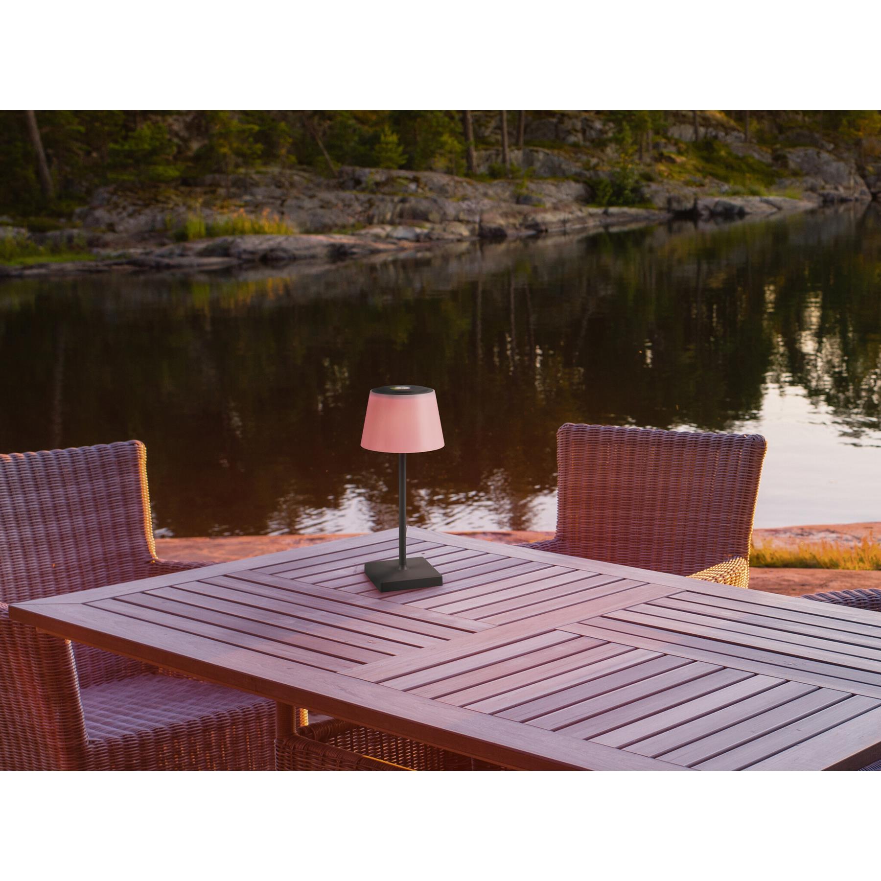Reality Leuchten Oplaadbare Tafellamp Sanchez Antraciet IP44