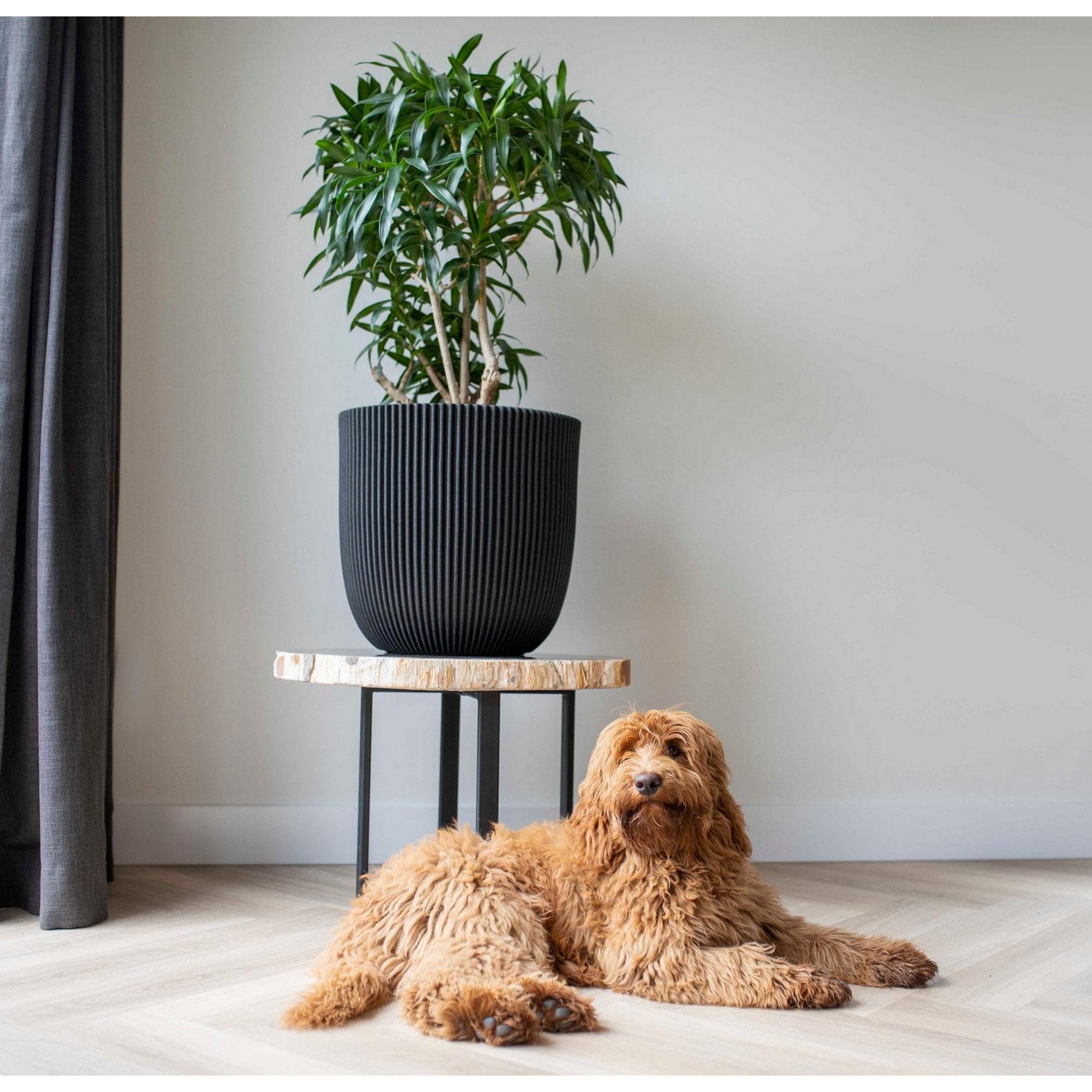 Capi Europe Bloempot bol Groove NL - 54x52 - Goud