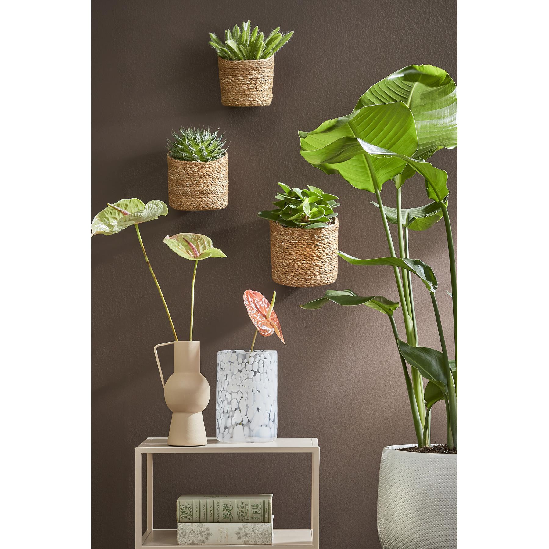 Mica Decorations Atlantic Plantenmand Hangend Set van 3 - Lichtbruin
