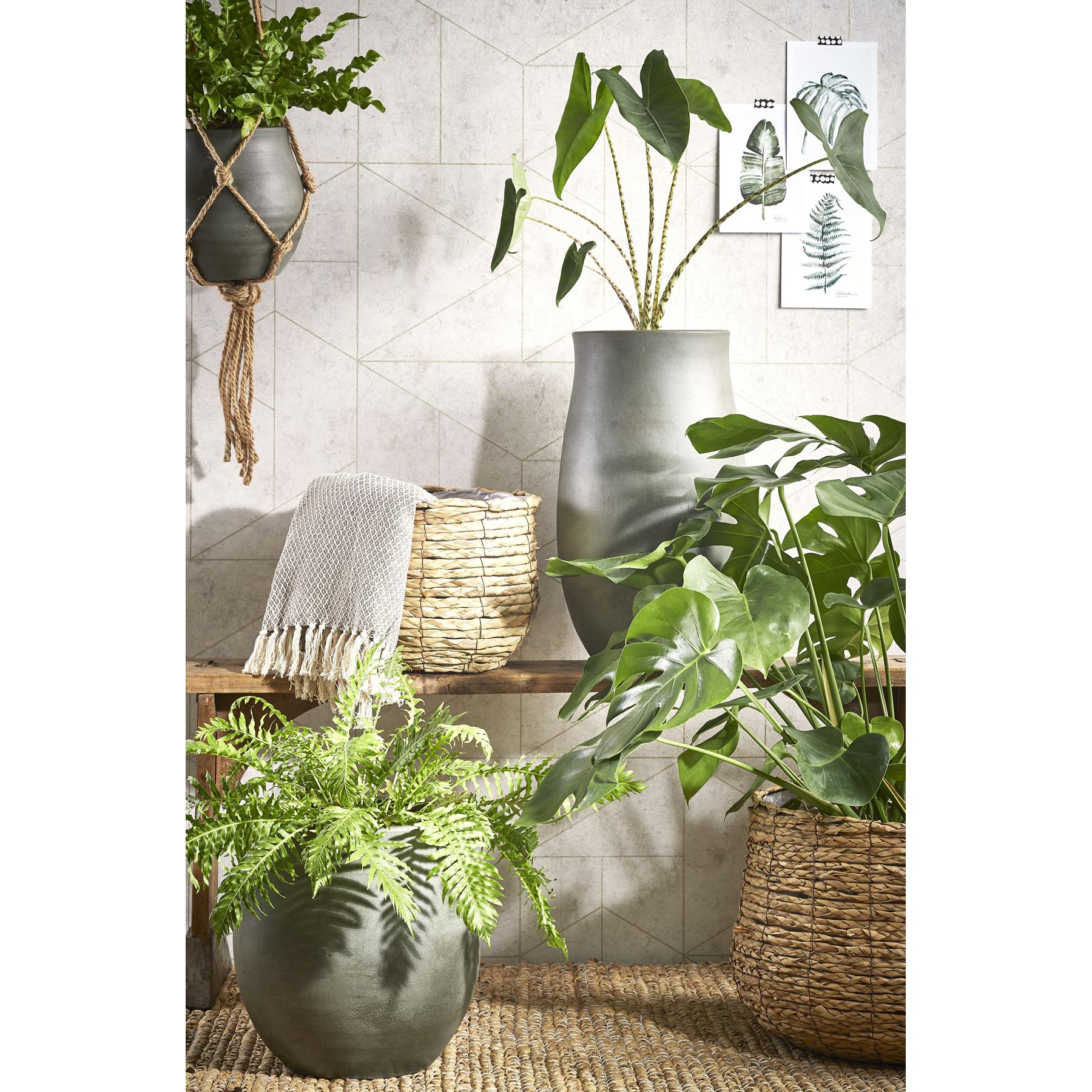 Mica Decorations Avalon Mandenset voor Planten Ø44 cm Lichtbruin