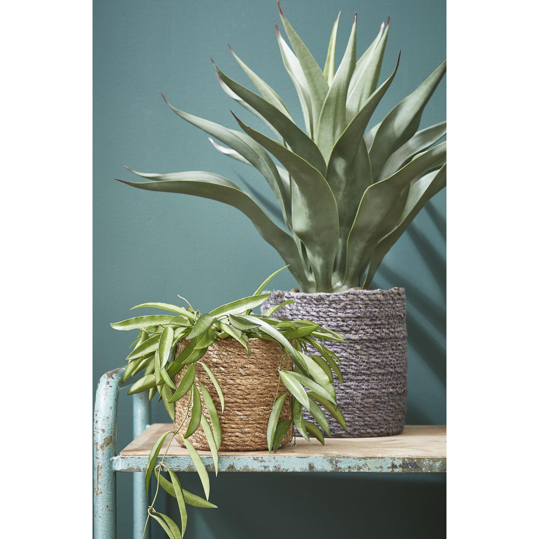 Mica Decorations Atlantic Plantenmand Set van 2 - Ø30 cm - Lichtbruin