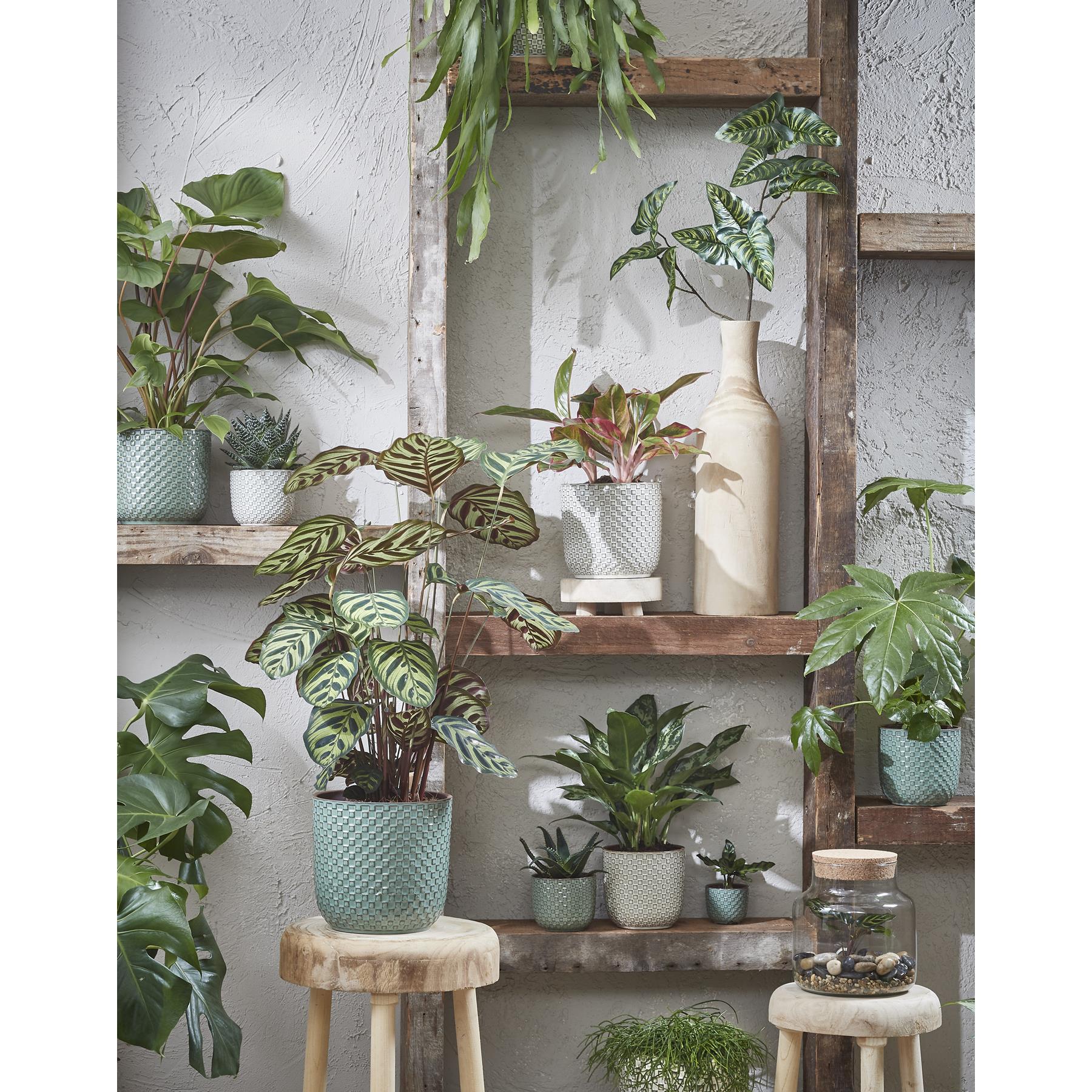 Mica Decorations Daan Bloempot - H17,5 x Ø19 cm - Groen