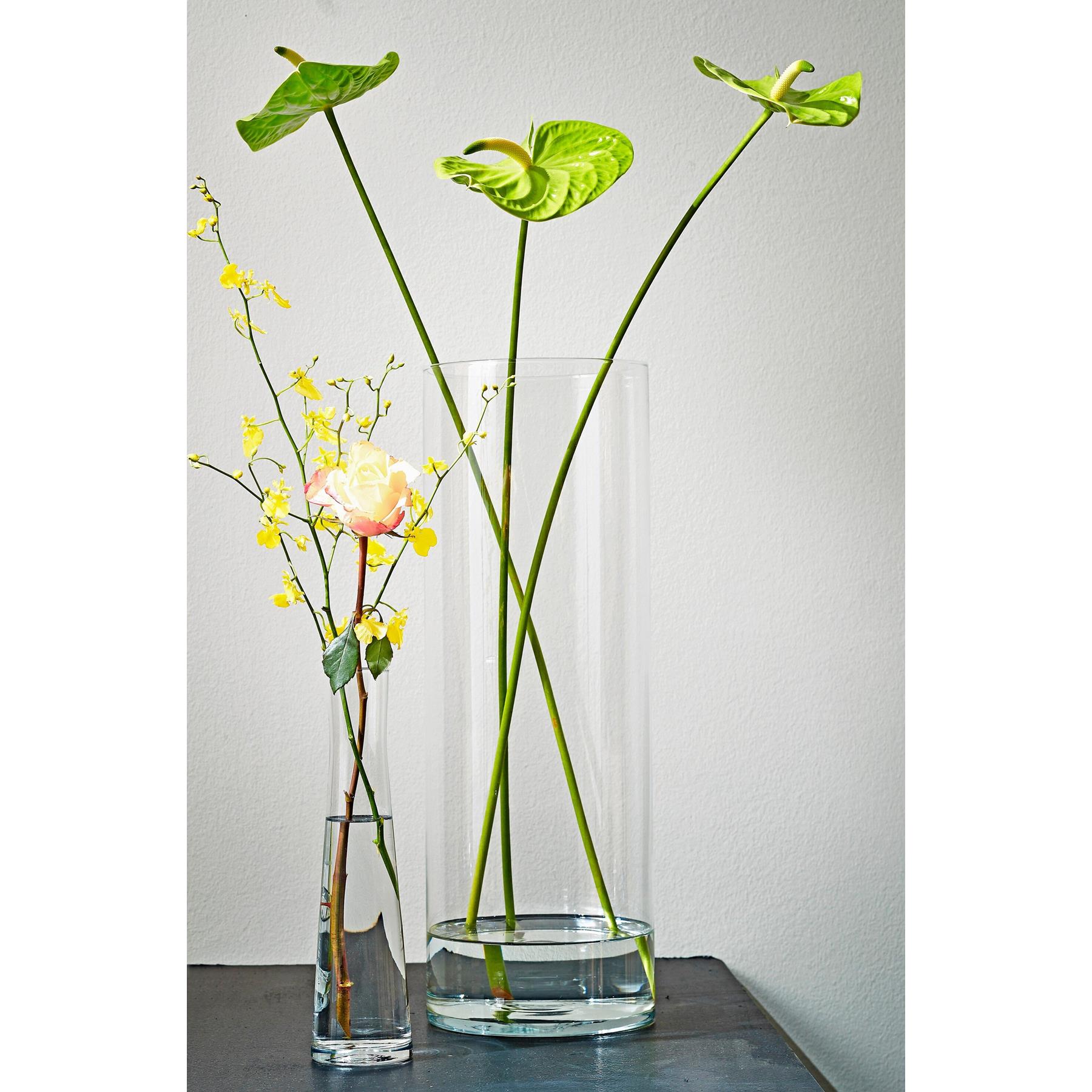 Mica Decorations Carly Vaas - H55 x Ø19 cm - Cylinder - Transparant