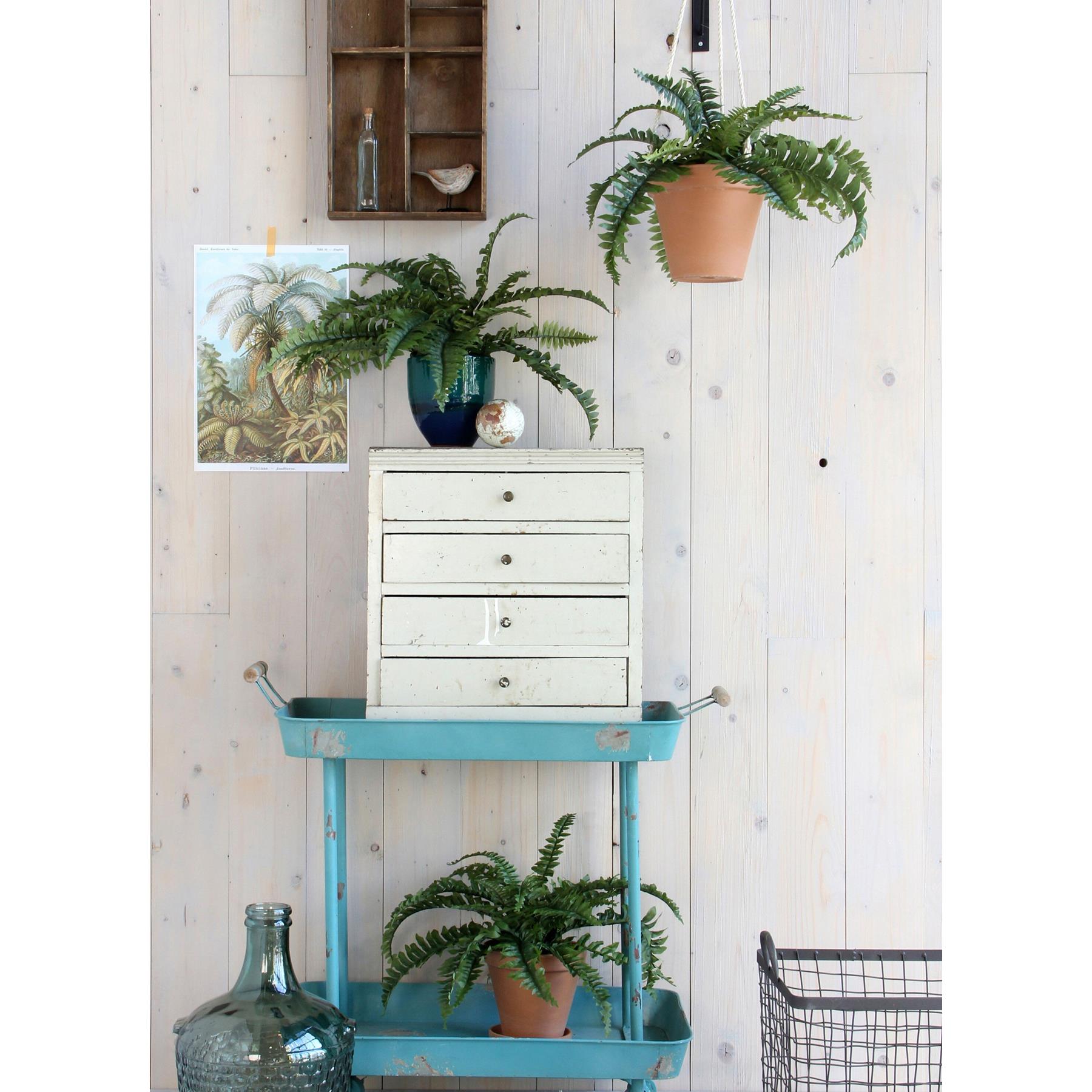 Mica Decorations Boston Varen Kunstplant - H42 x Ø50 cm - Groen