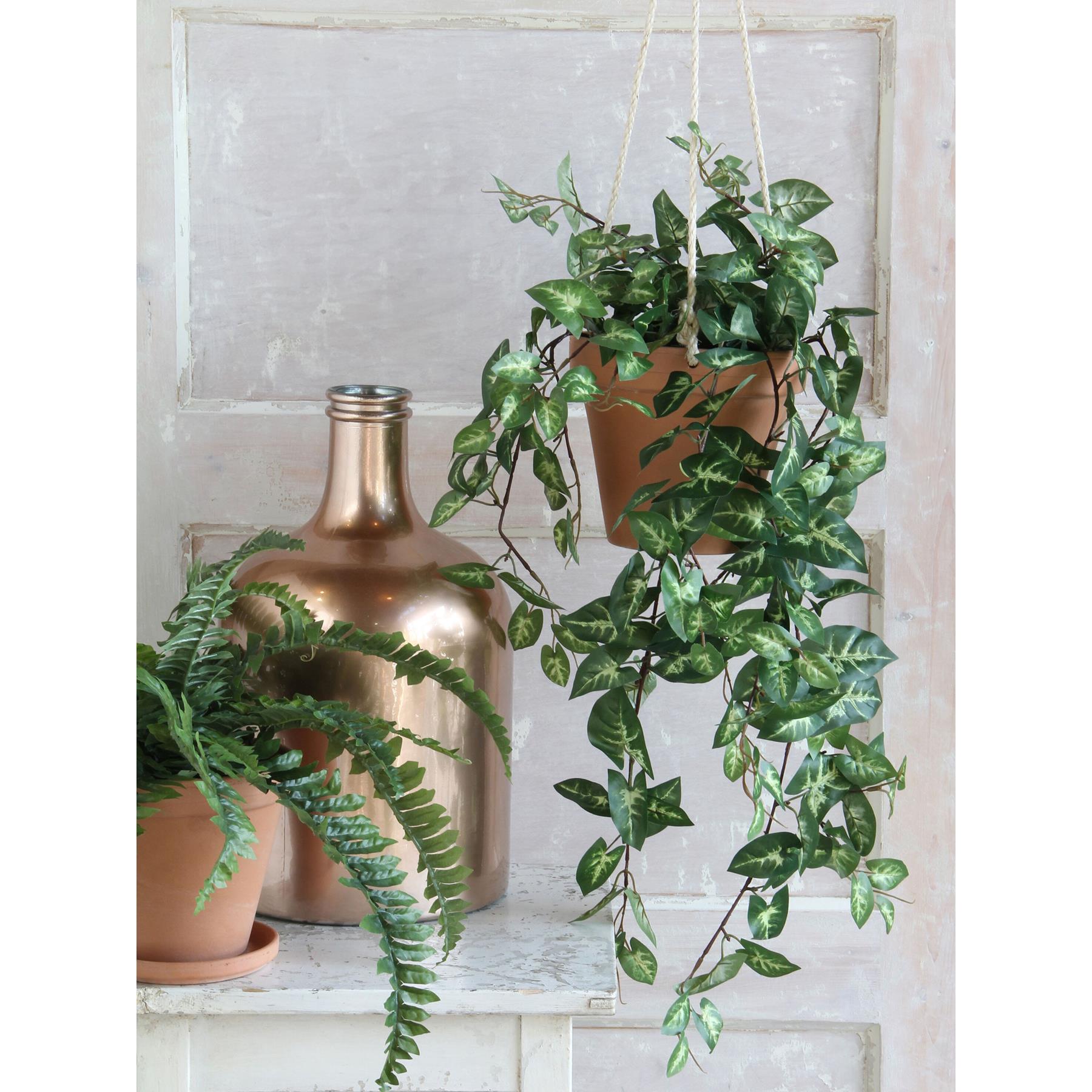 Mica Decorations Fittonia Kunst Hangplant in Pot - H80 cm - Groen