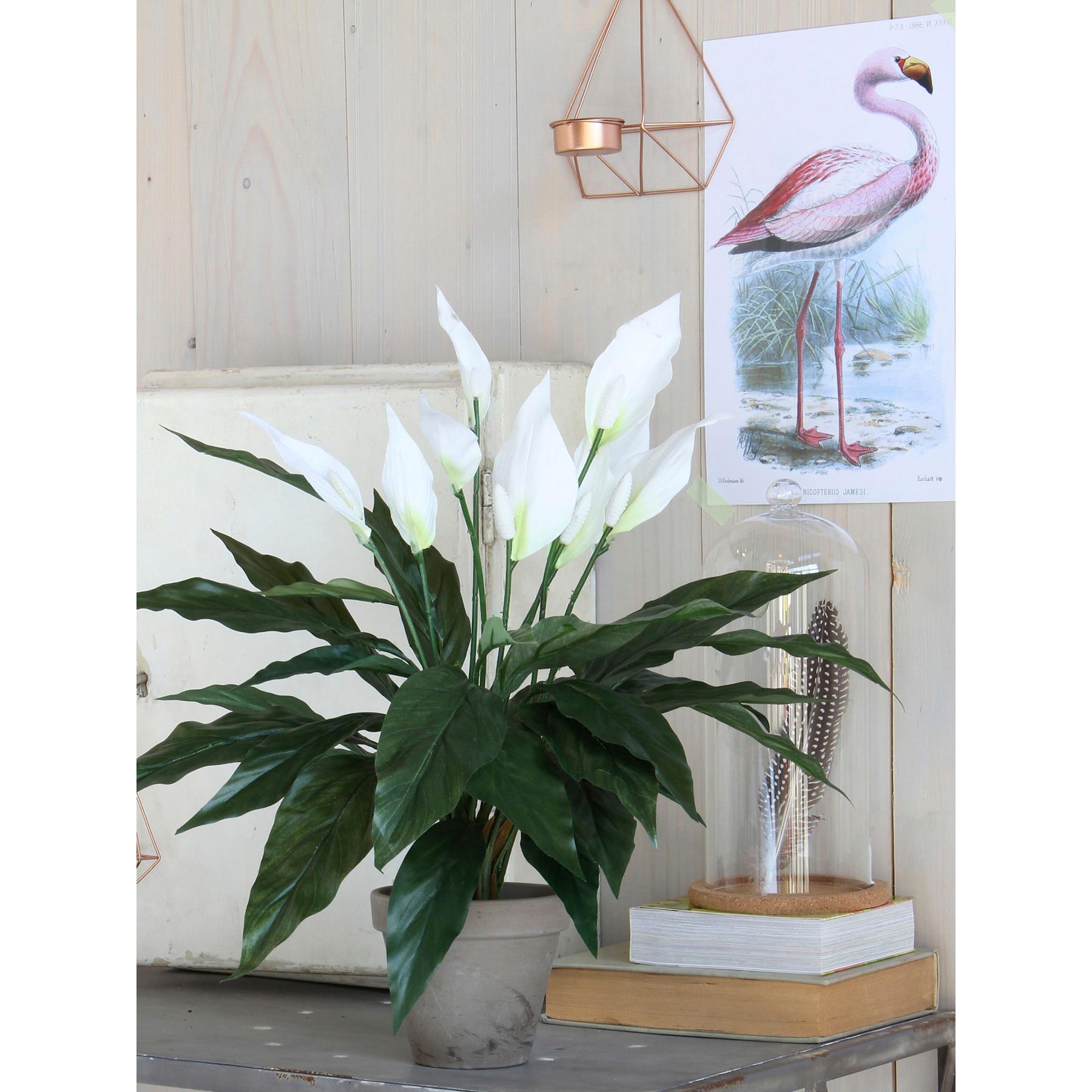 Mica Decorations Spathiphyllum Kunstplant - H50 x Ø40 cm - Wit