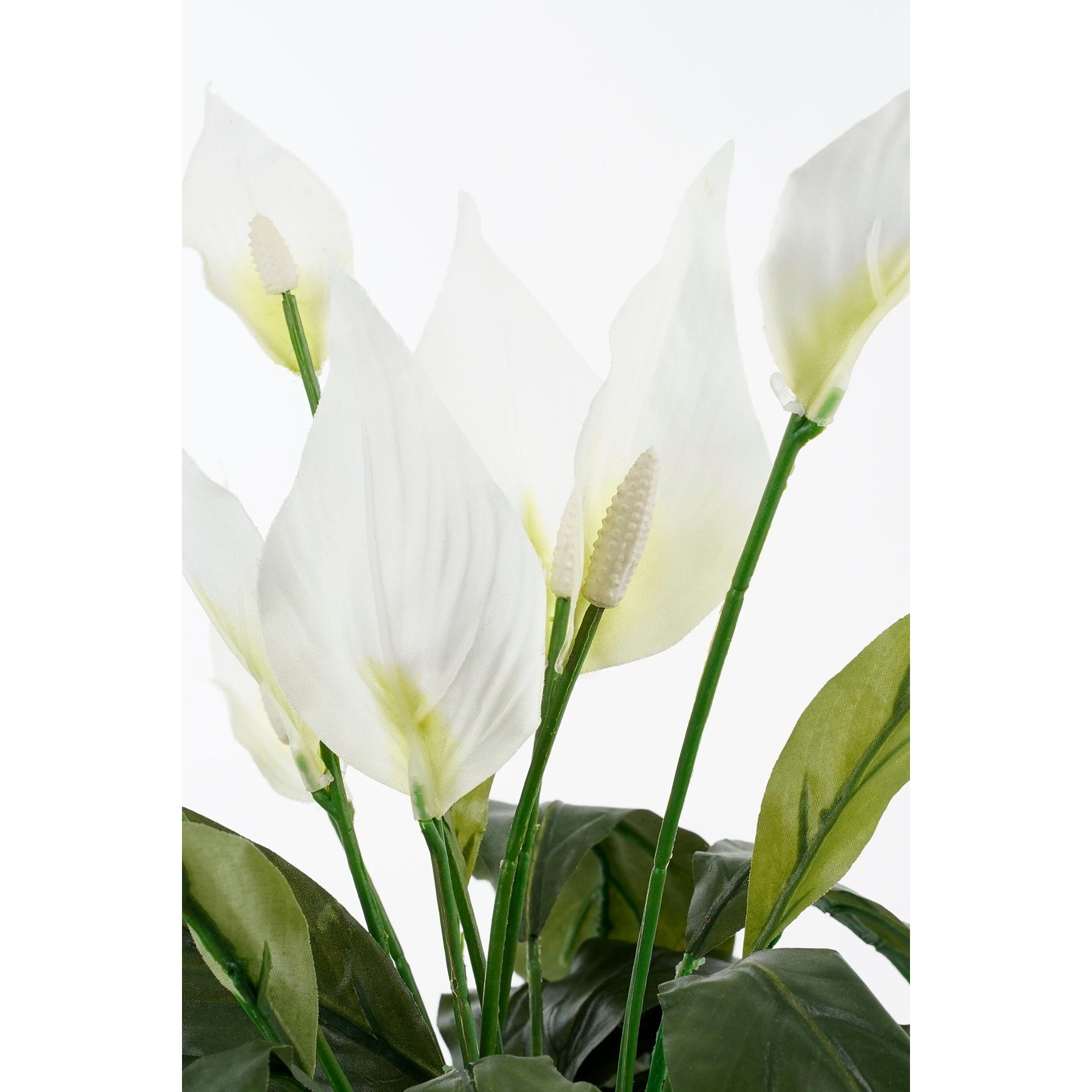 Mica Decorations Spathiphyllum Kunstplant - H50 x Ø40 cm - Wit
