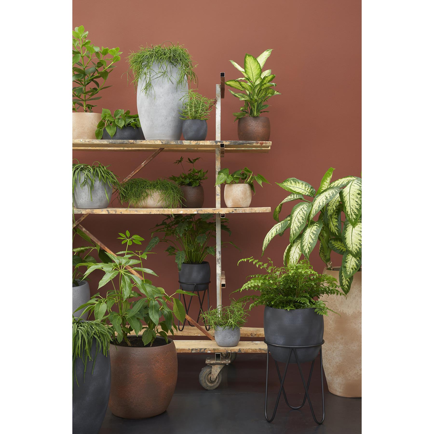 Mica Decorations Plantenstandaard Zwart Ø30 cm
