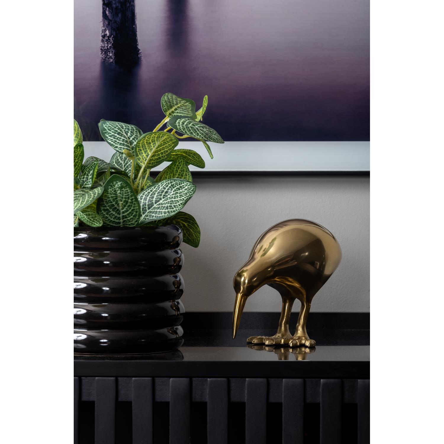present time - Statue Kiwi Bird