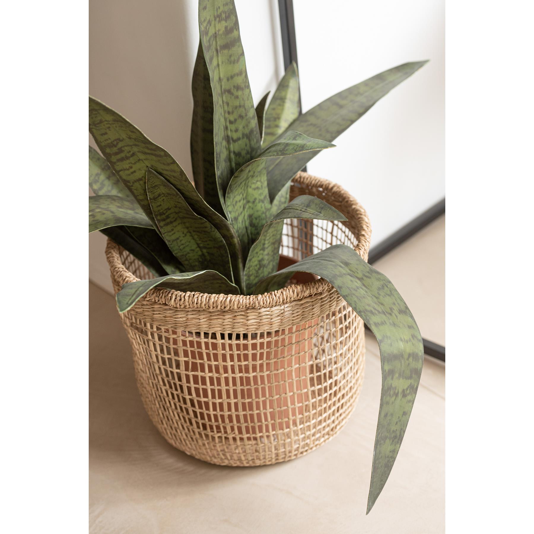 J-Line - Set Van 5 Manden Oasis Zeegras Licht Naturel - 40x40x32cm