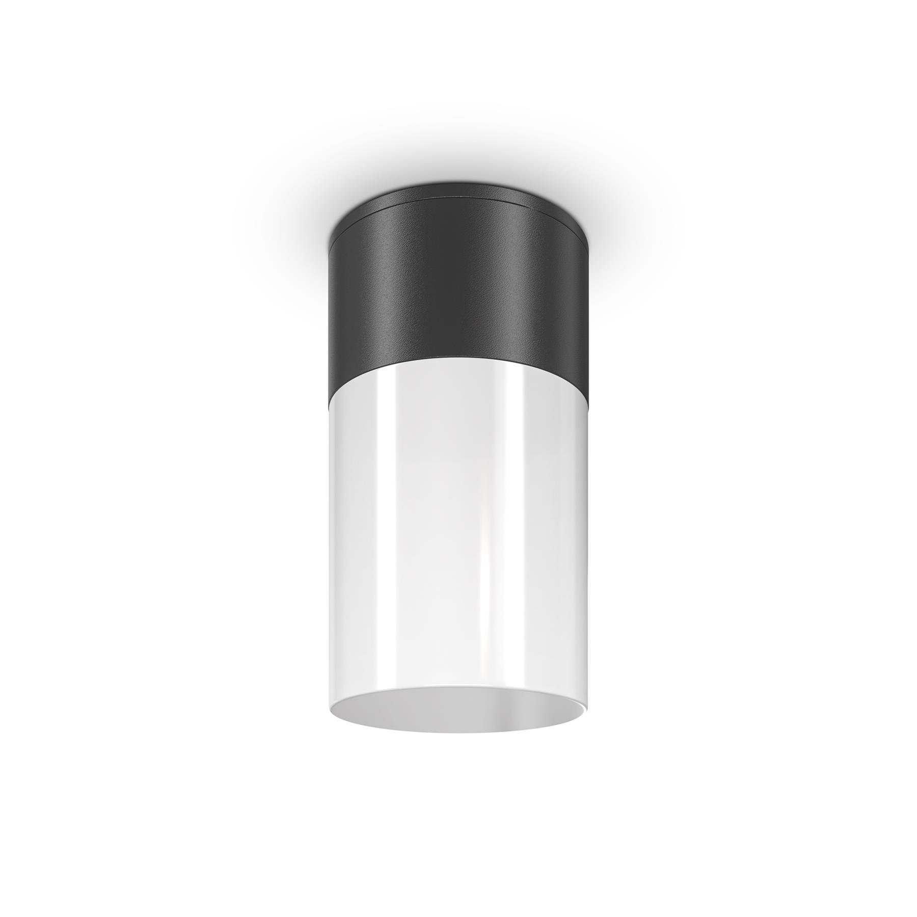 Maytoni Outdoor - Plafondlamp Willis - Zwart - Ø8