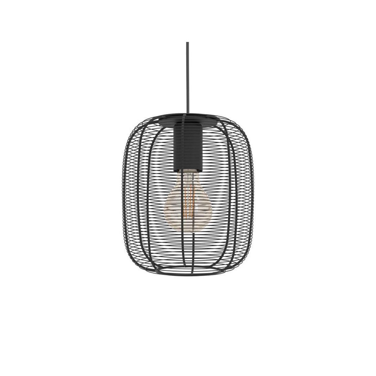 EDI light Rinroe Hanglamp - E27 - Ø 20 cm - 1 lichts - Zwart - Staal