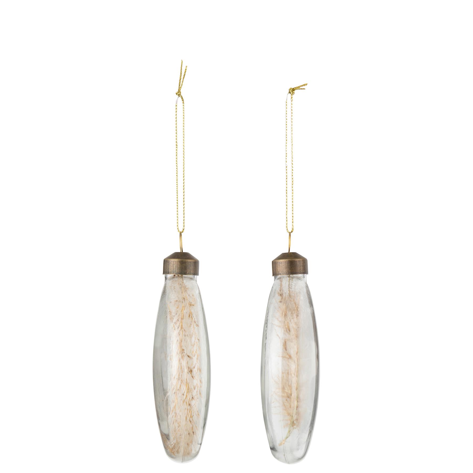 J-Line Doos Van 4 Kerstballen Rond Plat 2+2 Gedroogde Pampas Glas T