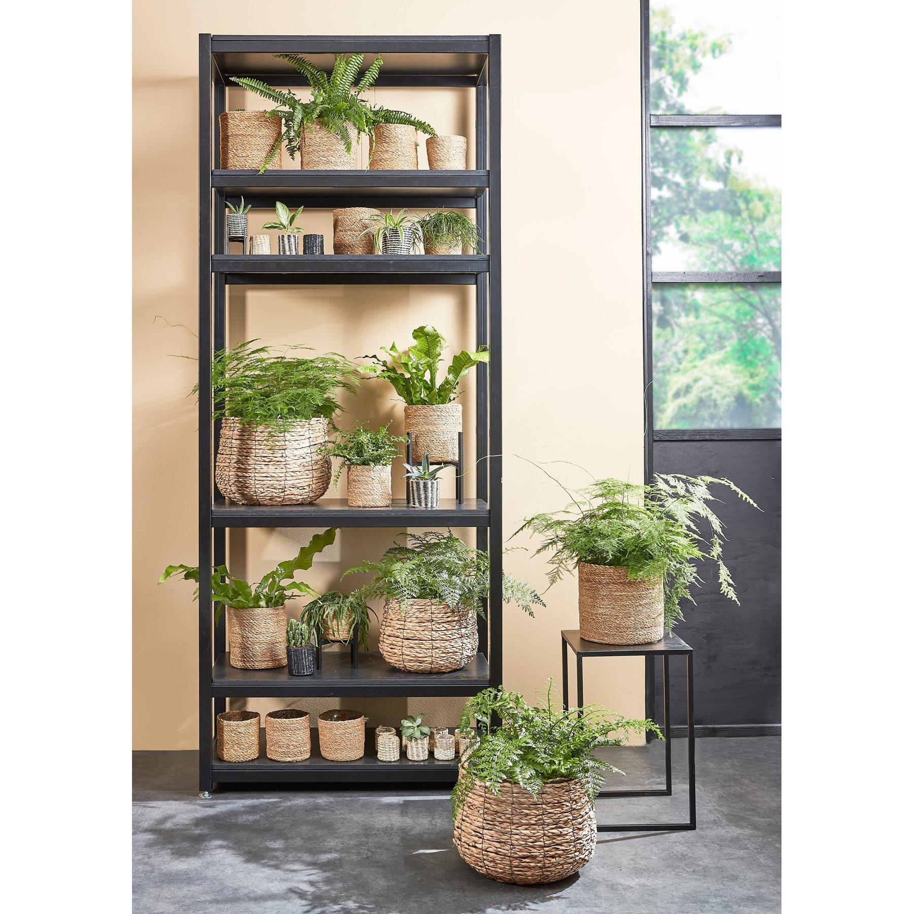 Mica Decorations Atlantic Mand voor Planten Set van 2