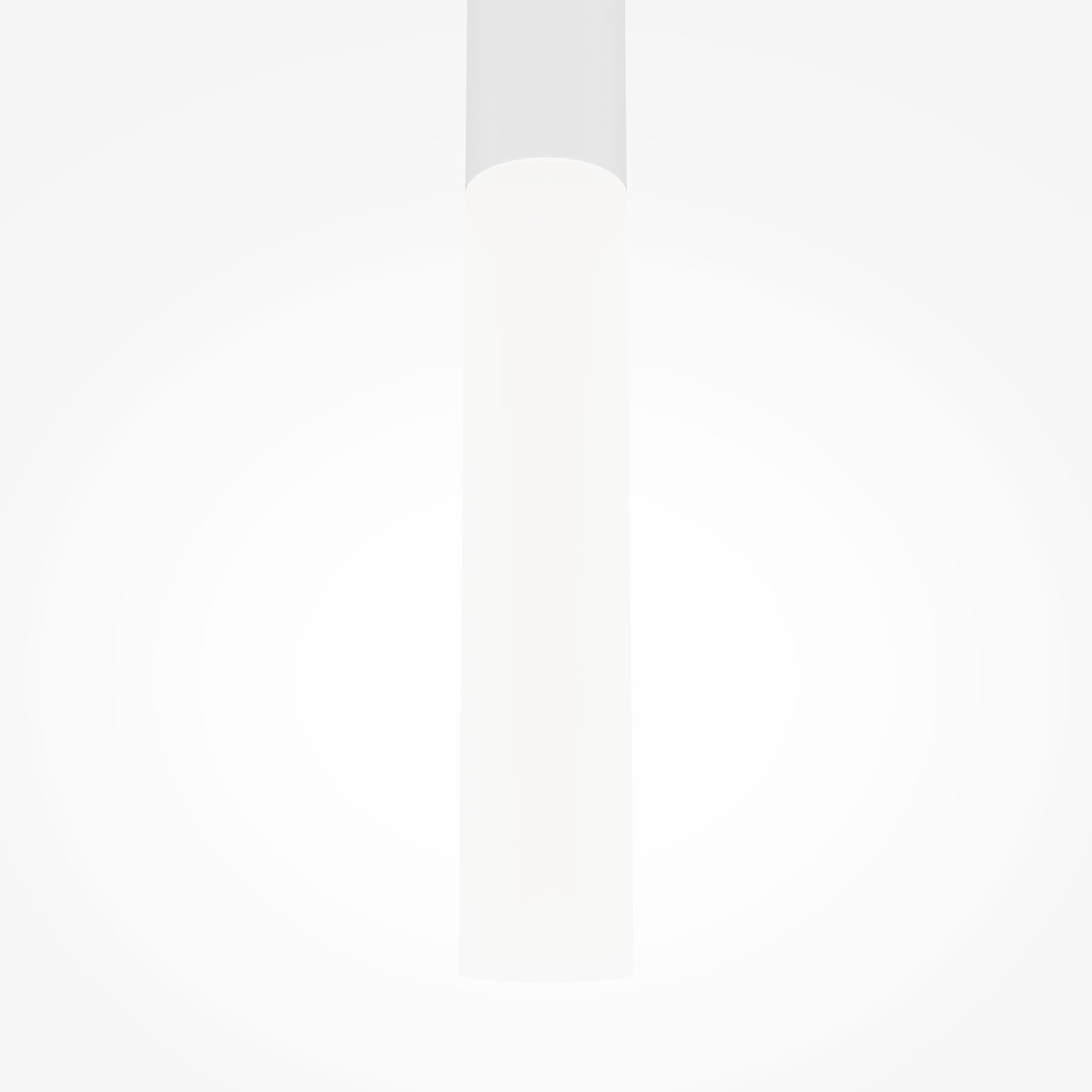 Maytoni - Hanglamp Pro Shade - Wit - Ø3