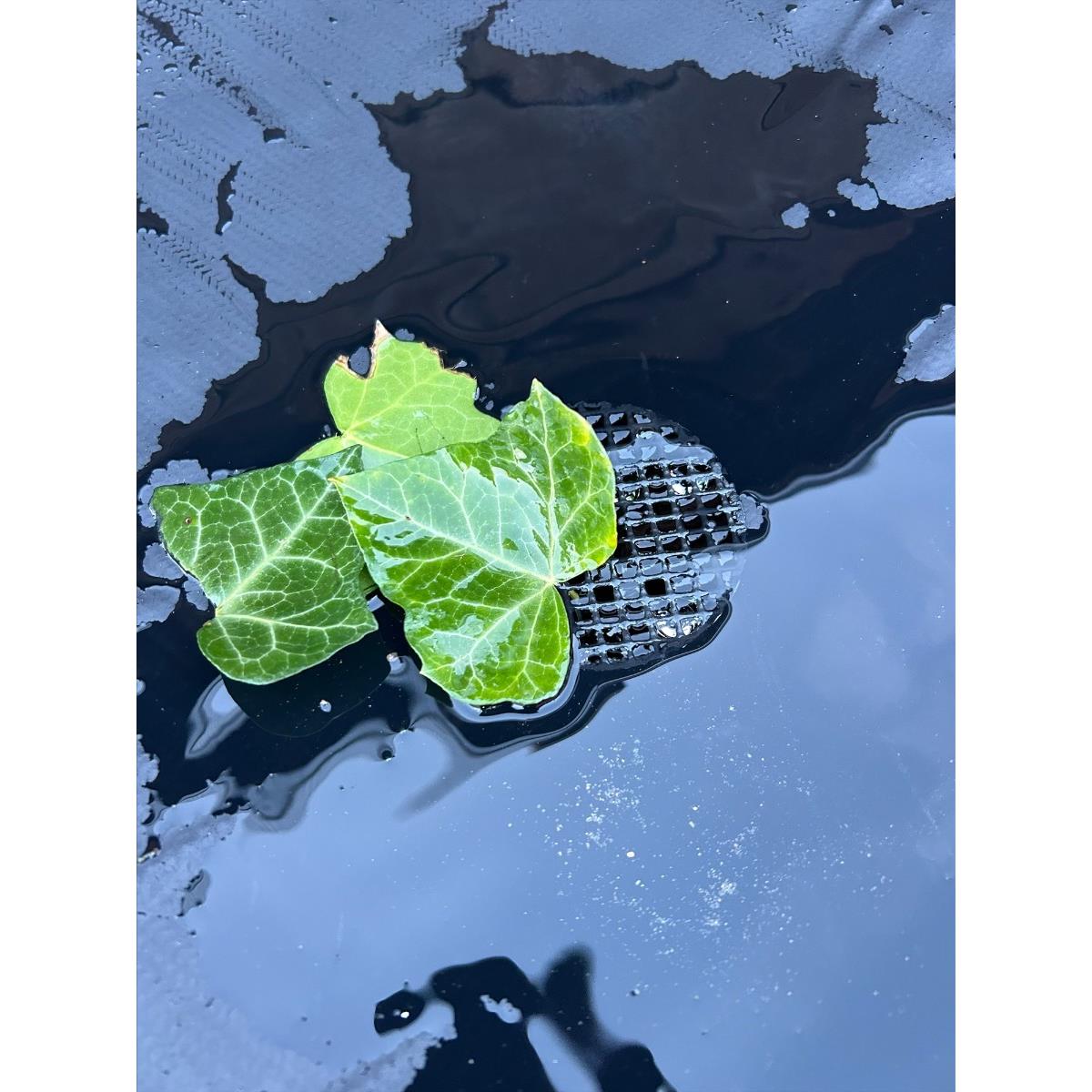 Practo Garden - Opvouwbare regenton - 350 liter - Inclusief kraantje -