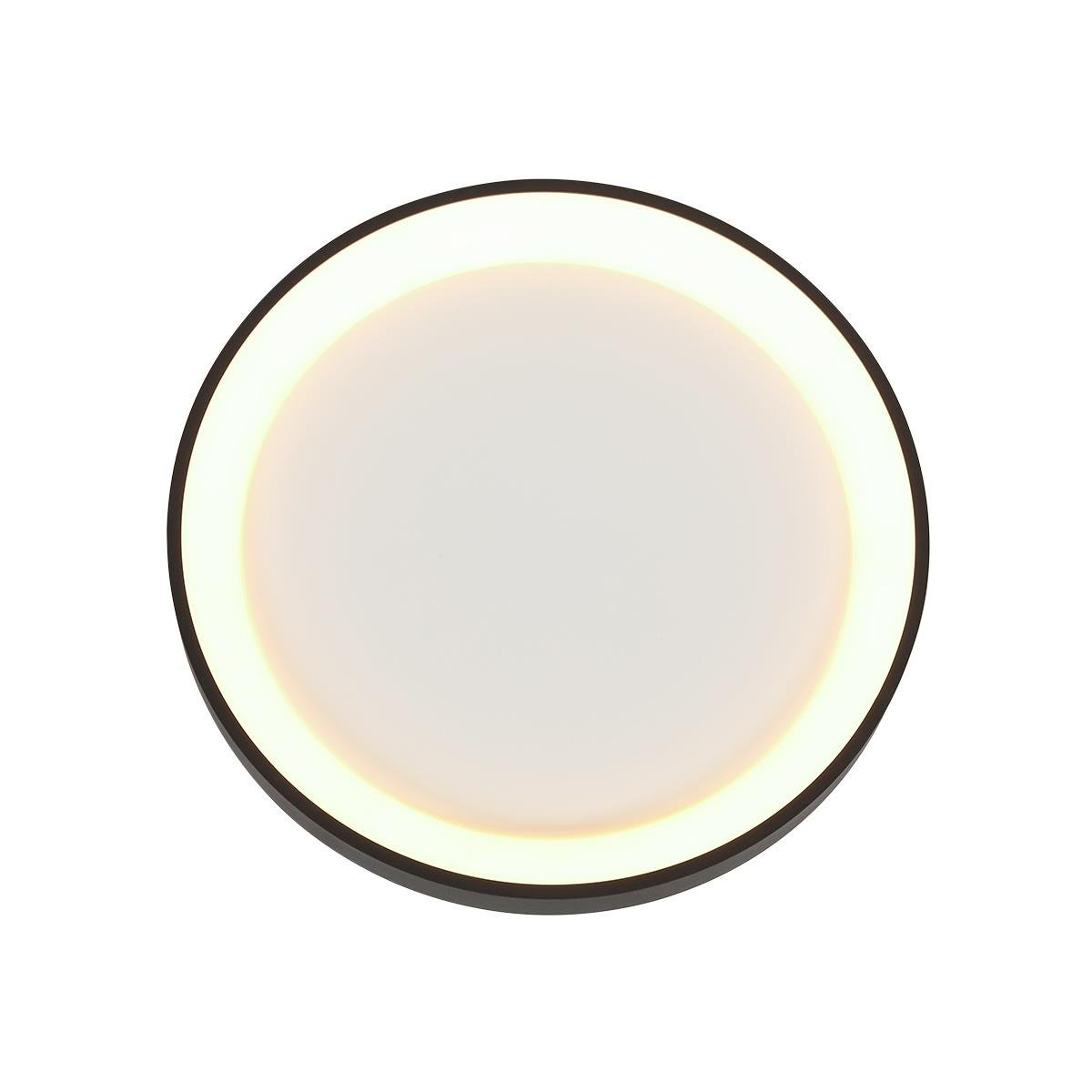 Steinhauer Plafondlamp Ringlede Zwart Ø 28cm Led 20Watt Dimbaar 3690ZW