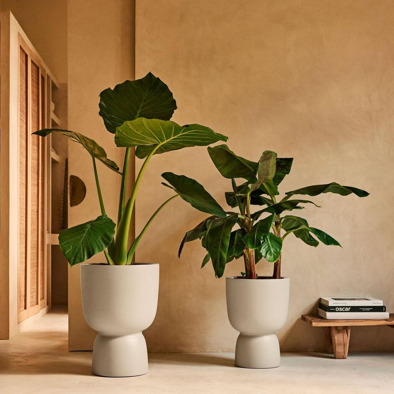Elho Amber Coupe 35 - Balanced beige - L 35 x B x H 49 cm - Binnen en Buiten - 100% gerecycled