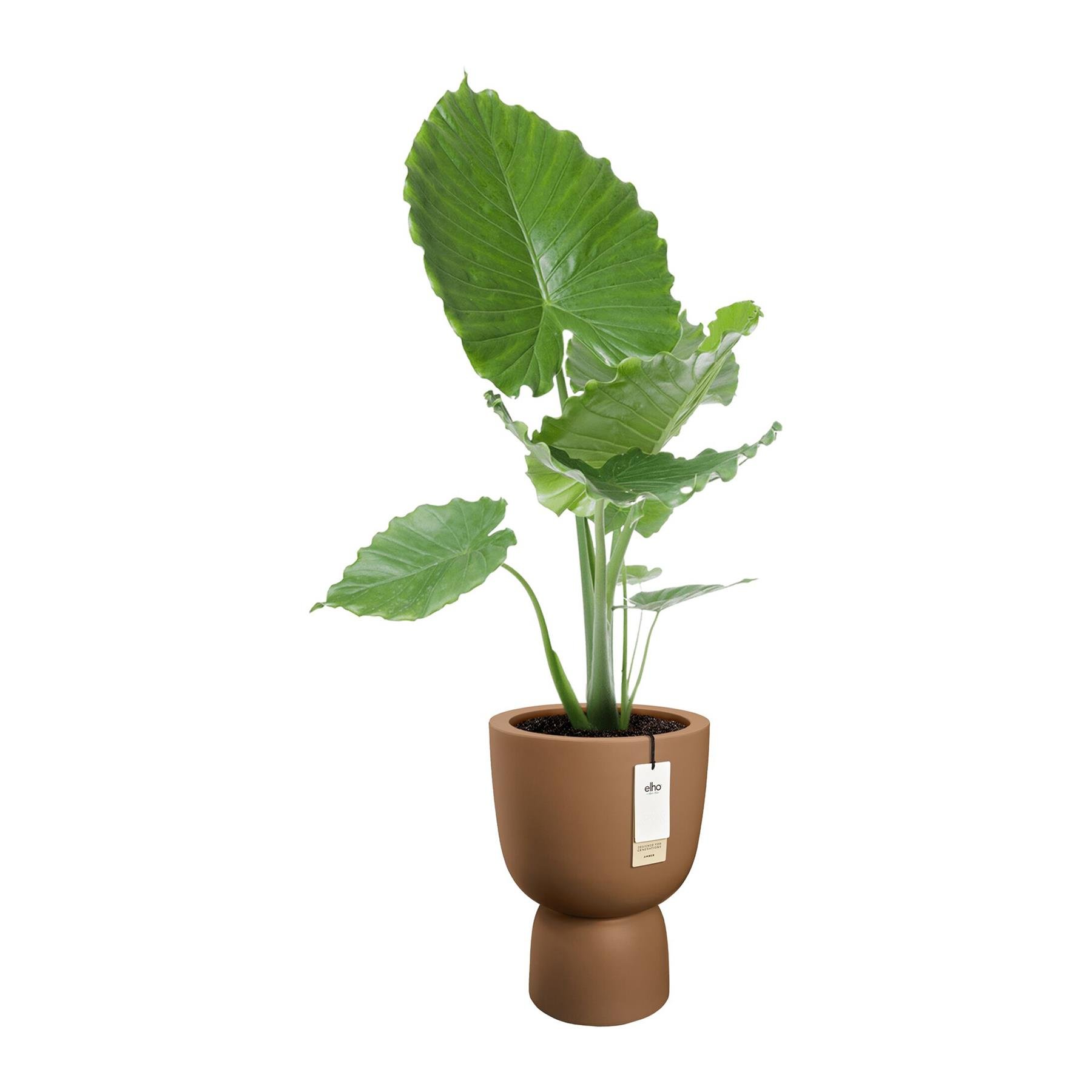 Elho Amber Coupe 35 - Karamel - L 35 x B x H 49 cm - Binnen en Buiten - 100% gerecycled