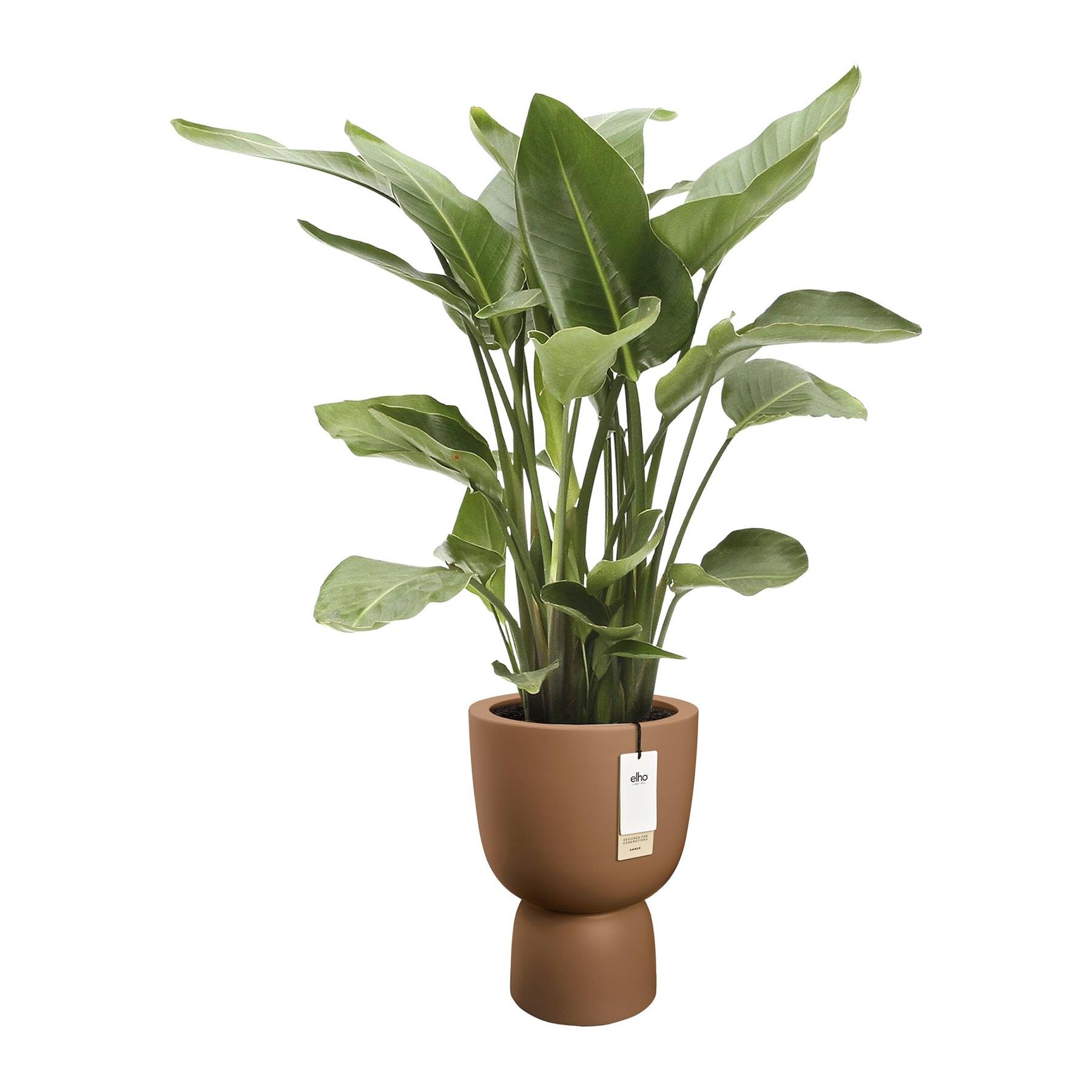 Elho Amber Coupe 35 - Karamel - L 35 x B x H 49 cm - Binnen en Buiten - 100% gerecycled