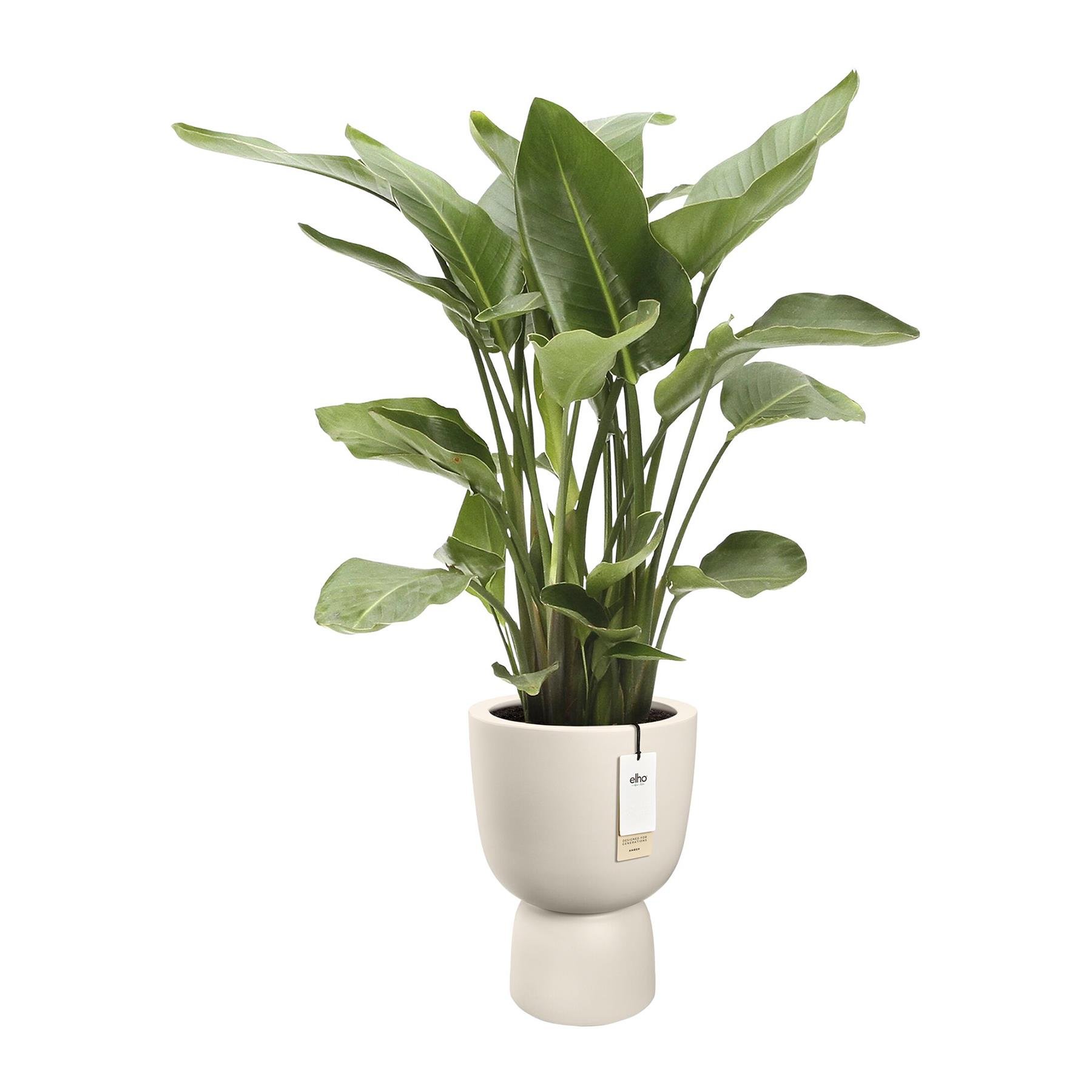 Elho Amber Coupe Round 41 - Linnen wit - L 41 x B x H 58 cm - Binnen en Buiten - 100% gerecycled