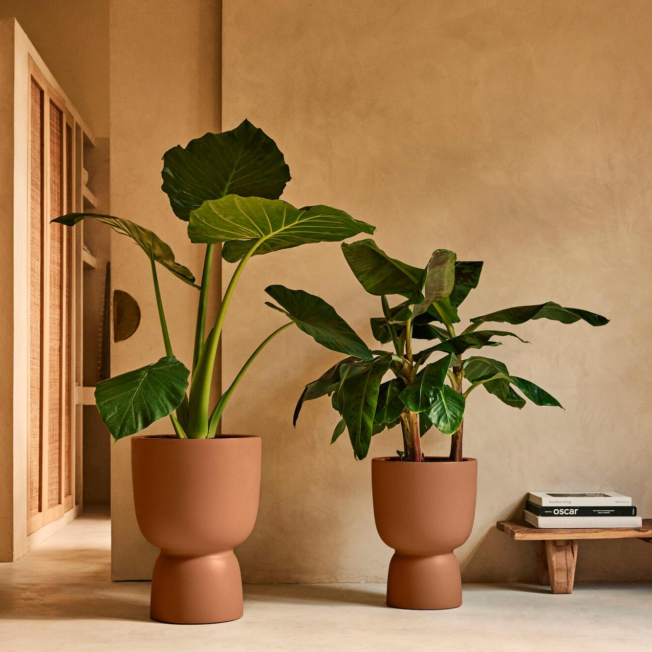 Elho Amber Coupe 35 - Karamel - L 35 x B x H 49 cm - Binnen en Buiten - 100% gerecycled