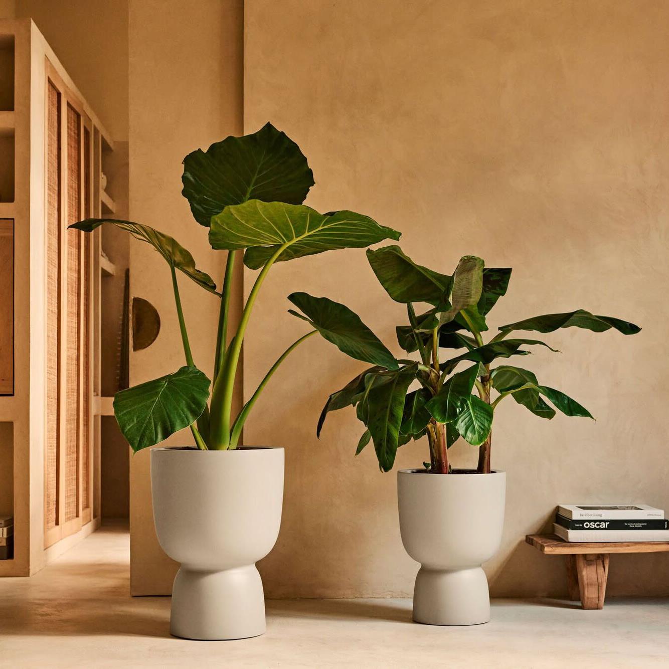 Elho Amber Coupe Round 41 - Balanced beige - L 41 x B  x H 58 cm - Binnen en Buiten - 100% gerecycled