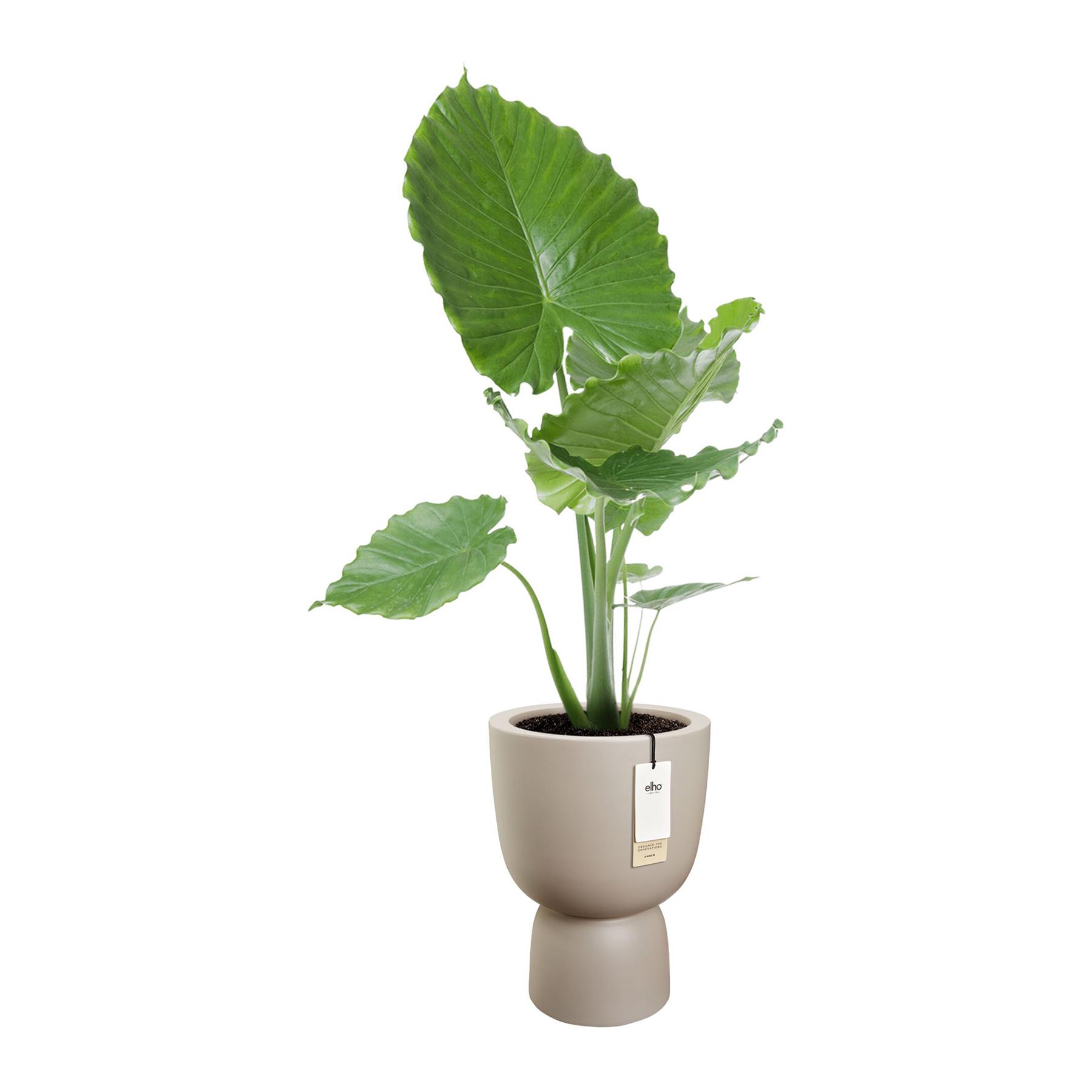 Elho Amber Coupe Round 41 - Balanced beige - L 41 x B  x H 58 cm - Binnen en Buiten - 100% gerecycled