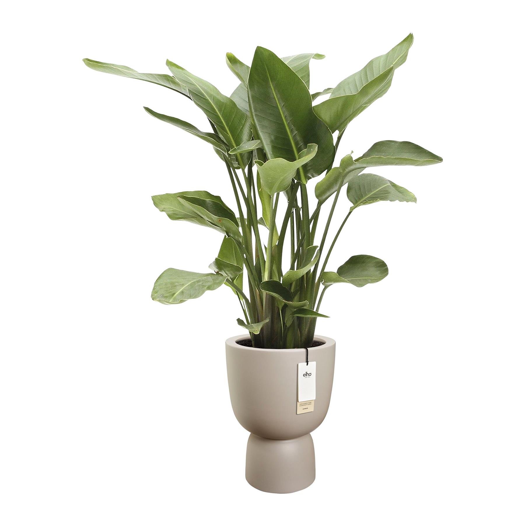 Elho Amber Coupe Round 41 - Balanced beige - L 41 x B  x H 58 cm - Binnen en Buiten - 100% gerecycled
