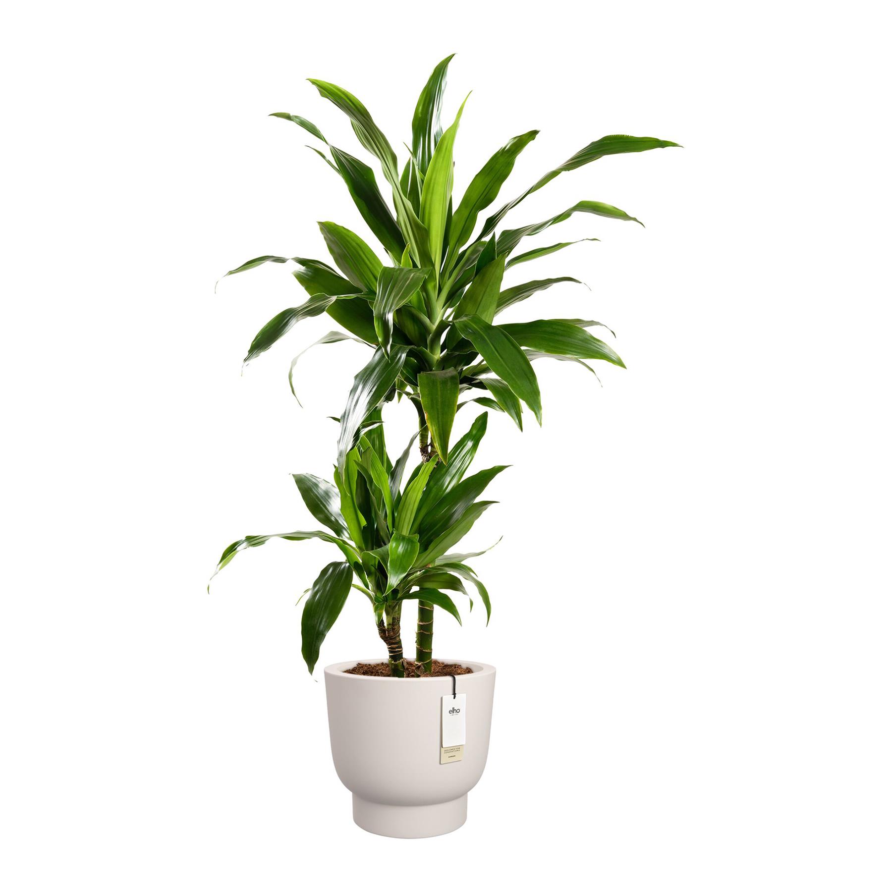 Elho Amber Grail 30 - Linnen wit - L 30 x B  x H 28 cm - Binnen en Buiten - 100% gerecycled
