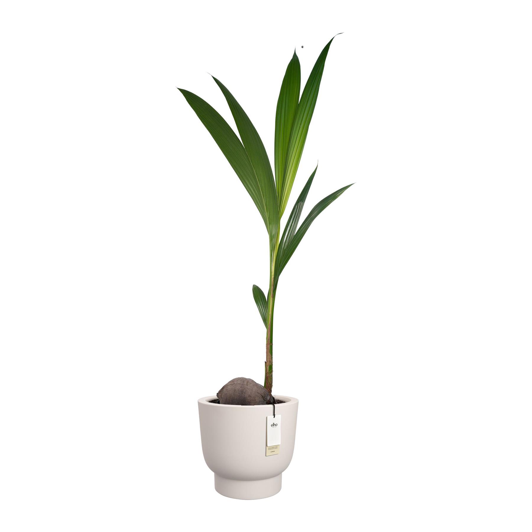 Elho Amber Grail 30 - Linnen wit - L 30 x B  x H 28 cm - Binnen en Buiten - 100% gerecycled