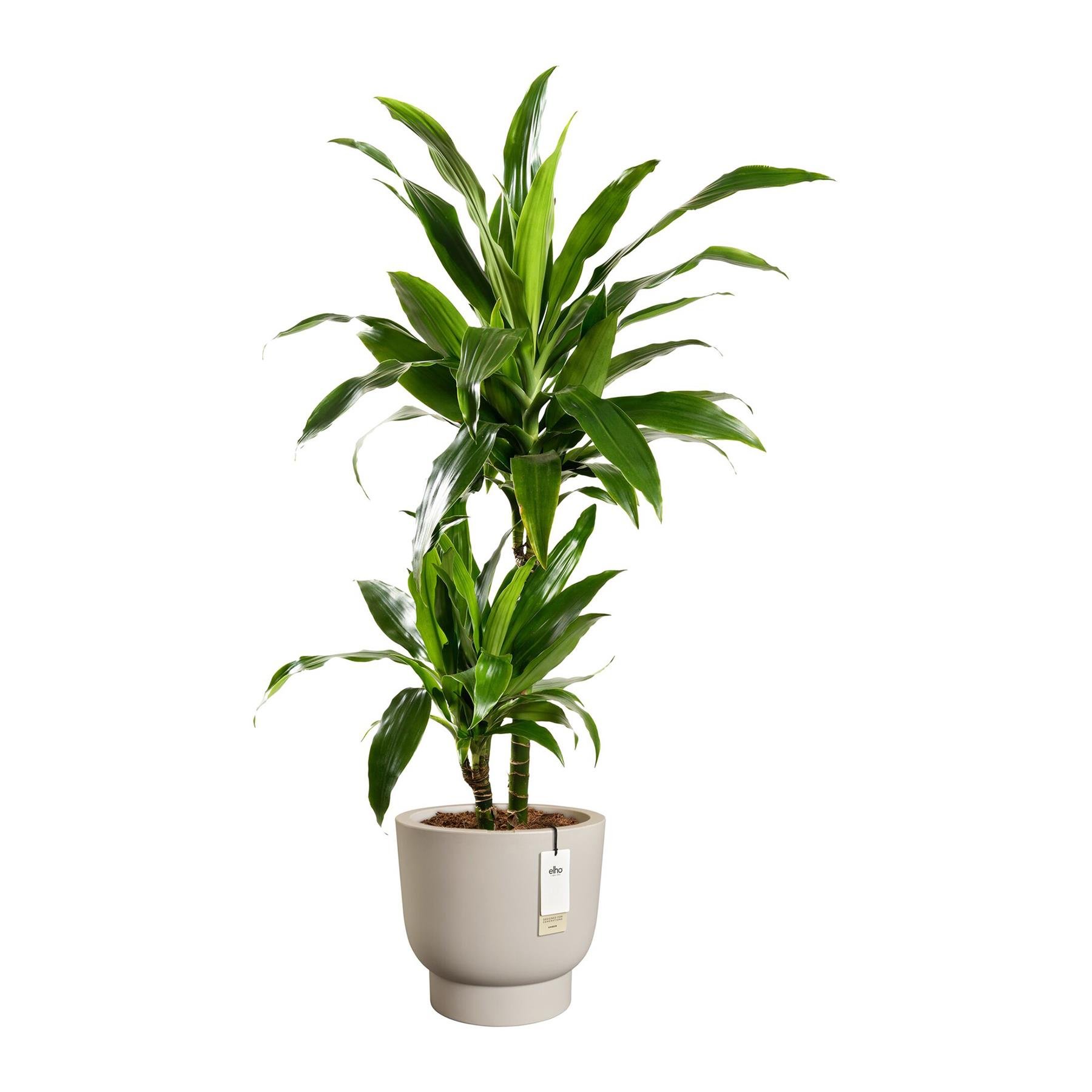 Elho Amber Grail 30 - Balanced beige - L 30 x B  x H 28 cm - Binnen en Buiten - 100% gerecycled
