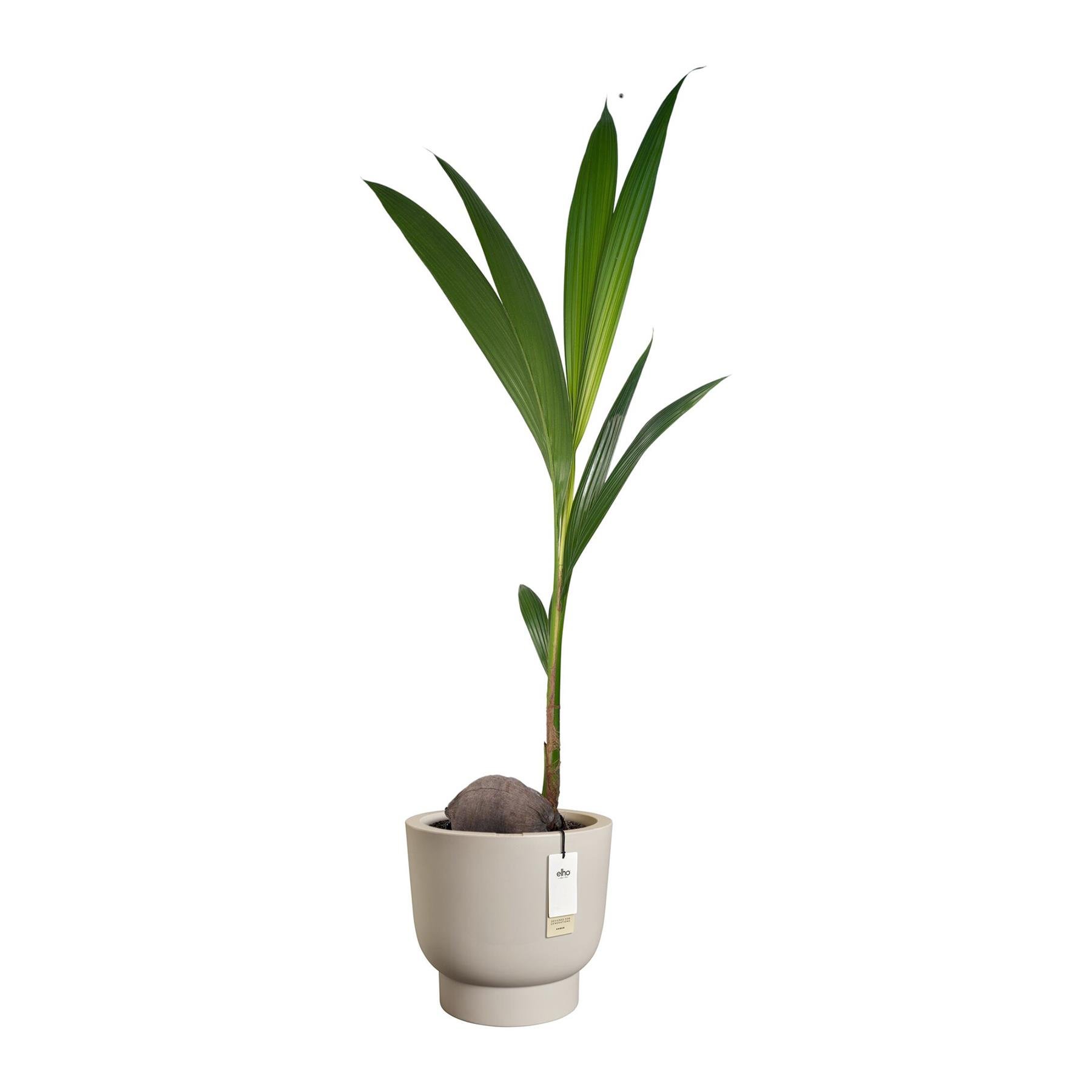 Elho Amber Grail 30 - Balanced beige - L 30 x B  x H 28 cm - Binnen en Buiten - 100% gerecycled