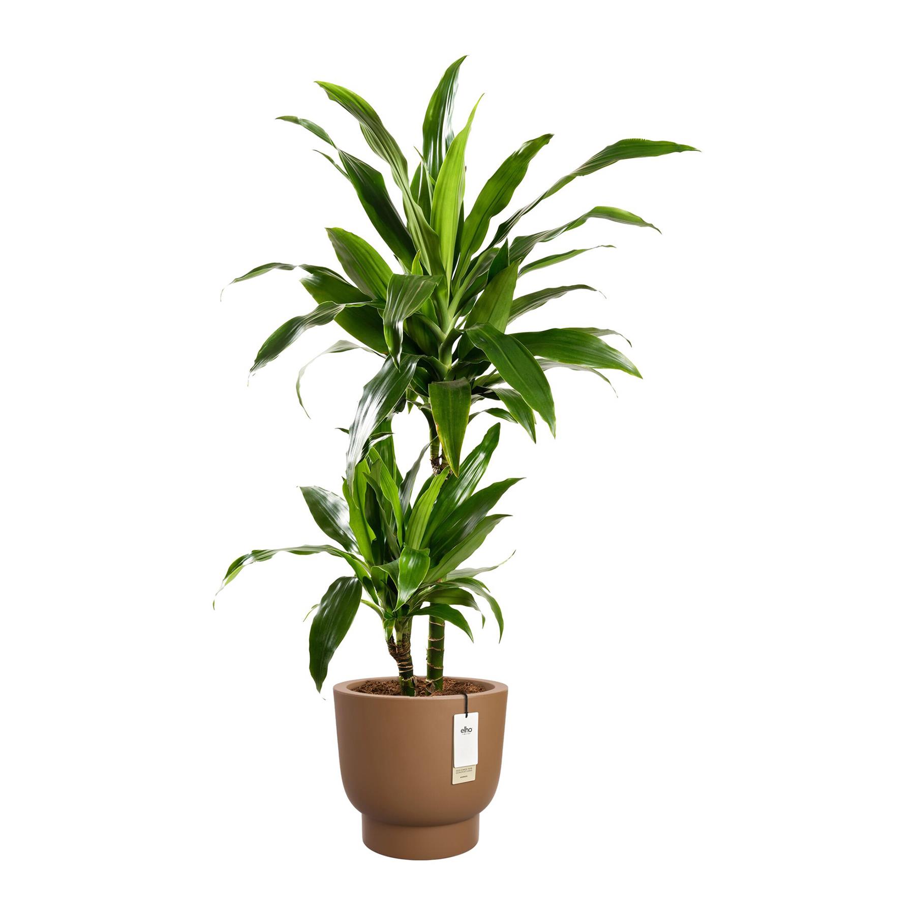 Elho Amber Grail 40 - Karamel - Ø 38 x H 36 cm - Binnen en Buiten - 100% gerecycled