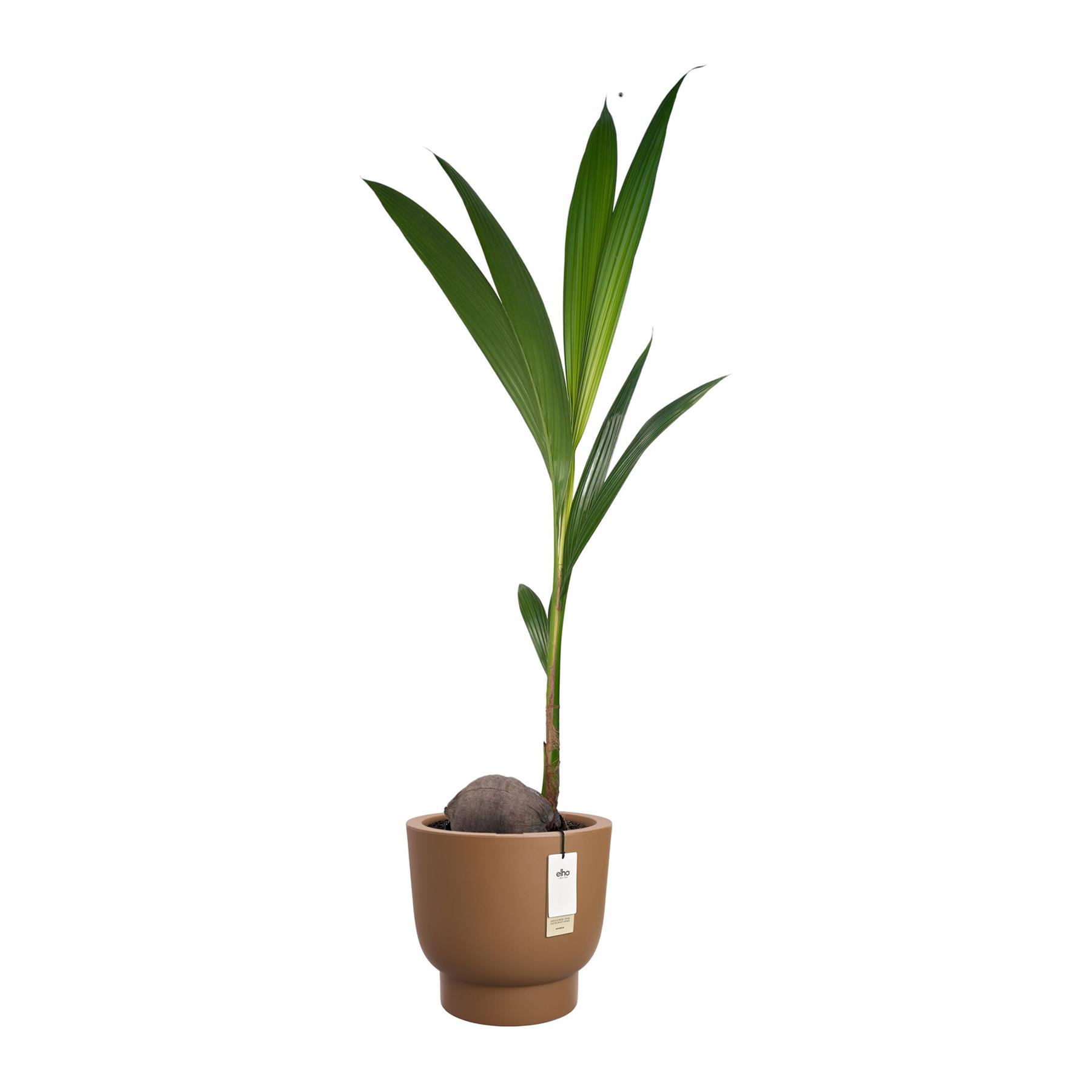 Elho Amber Grail 40 - Karamel - Ø 38 x H 36 cm - Binnen en Buiten - 100% gerecycled