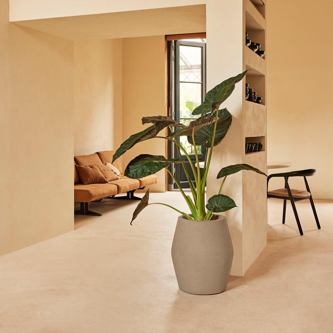 Elho June Split High 46 - Balanced beige - Ø 46 x H 53 cm - Binnen en Buiten - 100% gerecycled