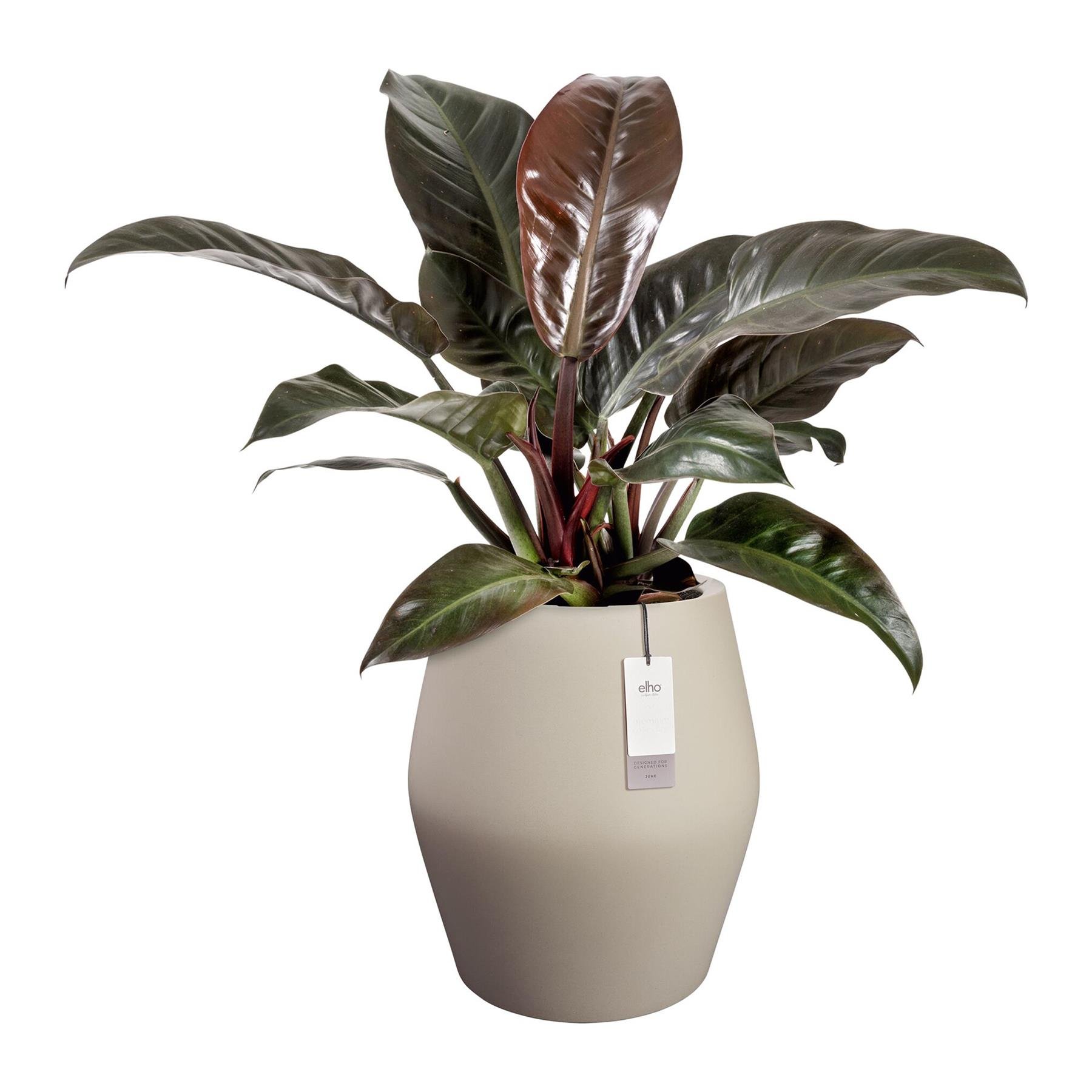 Elho June Split High 46 - Balanced beige - Ø 46 x H 53 cm - Binnen en Buiten - 100% gerecycled