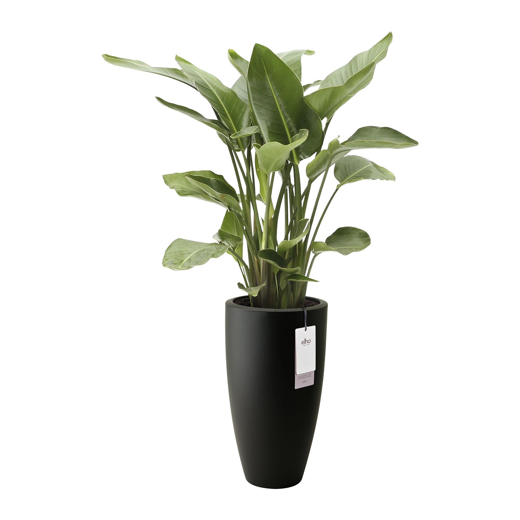 Elho June Round High 30 - Zwart - L 30 x B  x H 53 cm - Binnen en Buiten - 100% gerecycled