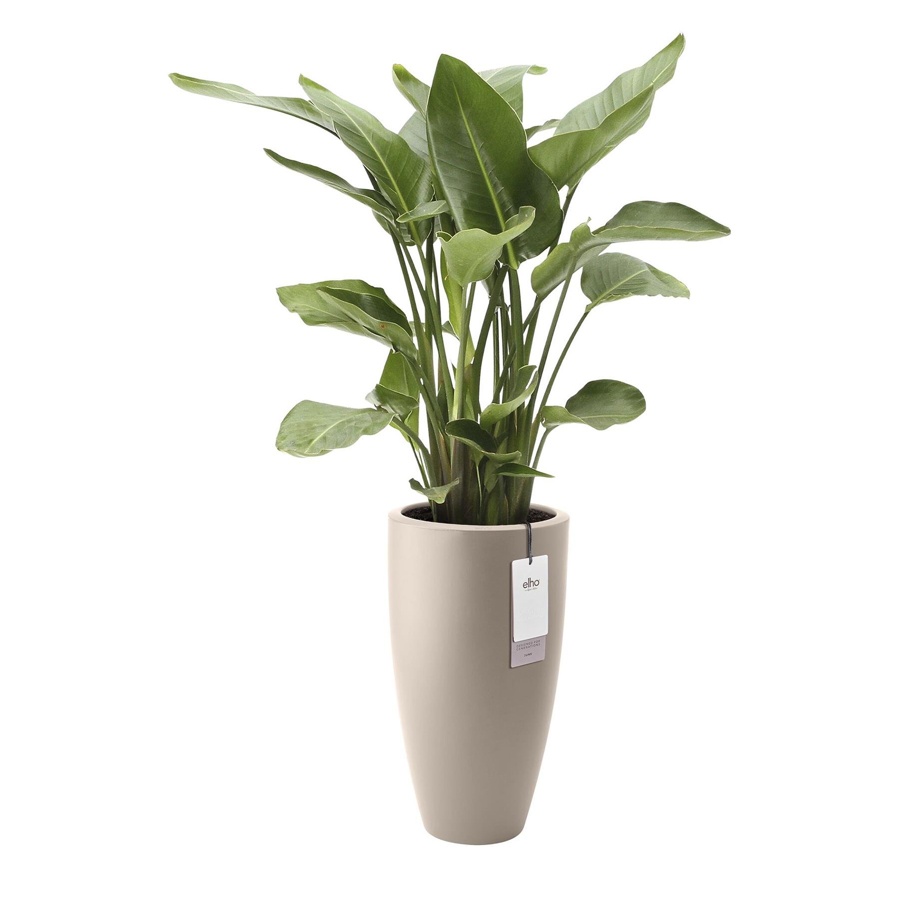 Elho June Round High 40 - Balanced beige - Ø 39 x H 70 cm - Binnen en Buiten - 100% gerecycled