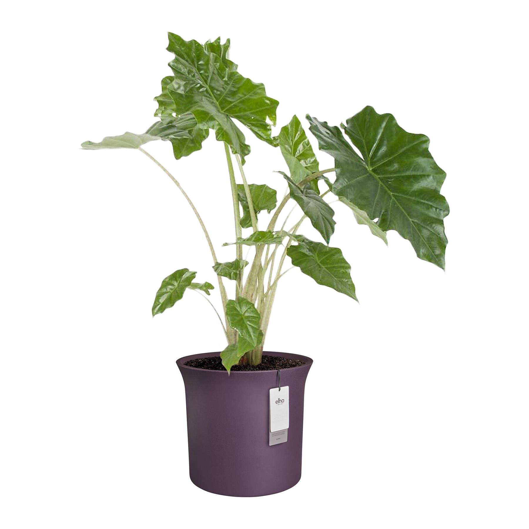 Elho June Tulip 47 - Vintage plum - Ø 47 x H 43 cm - Binnen en Buiten - 100% gerecycled